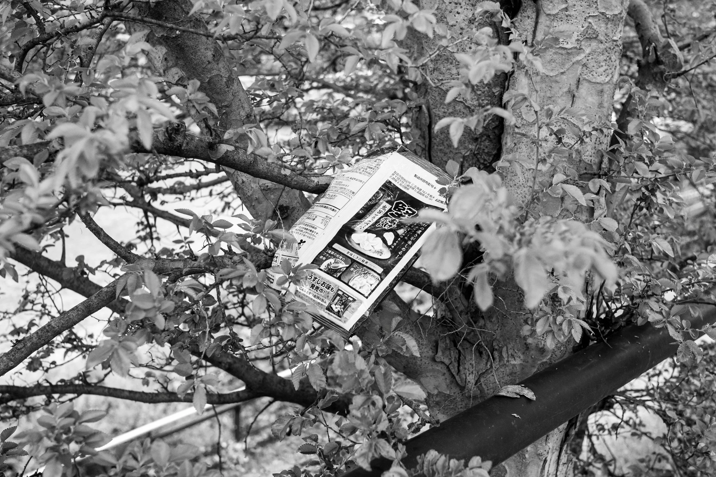 28 avril 2026, Kyoto.