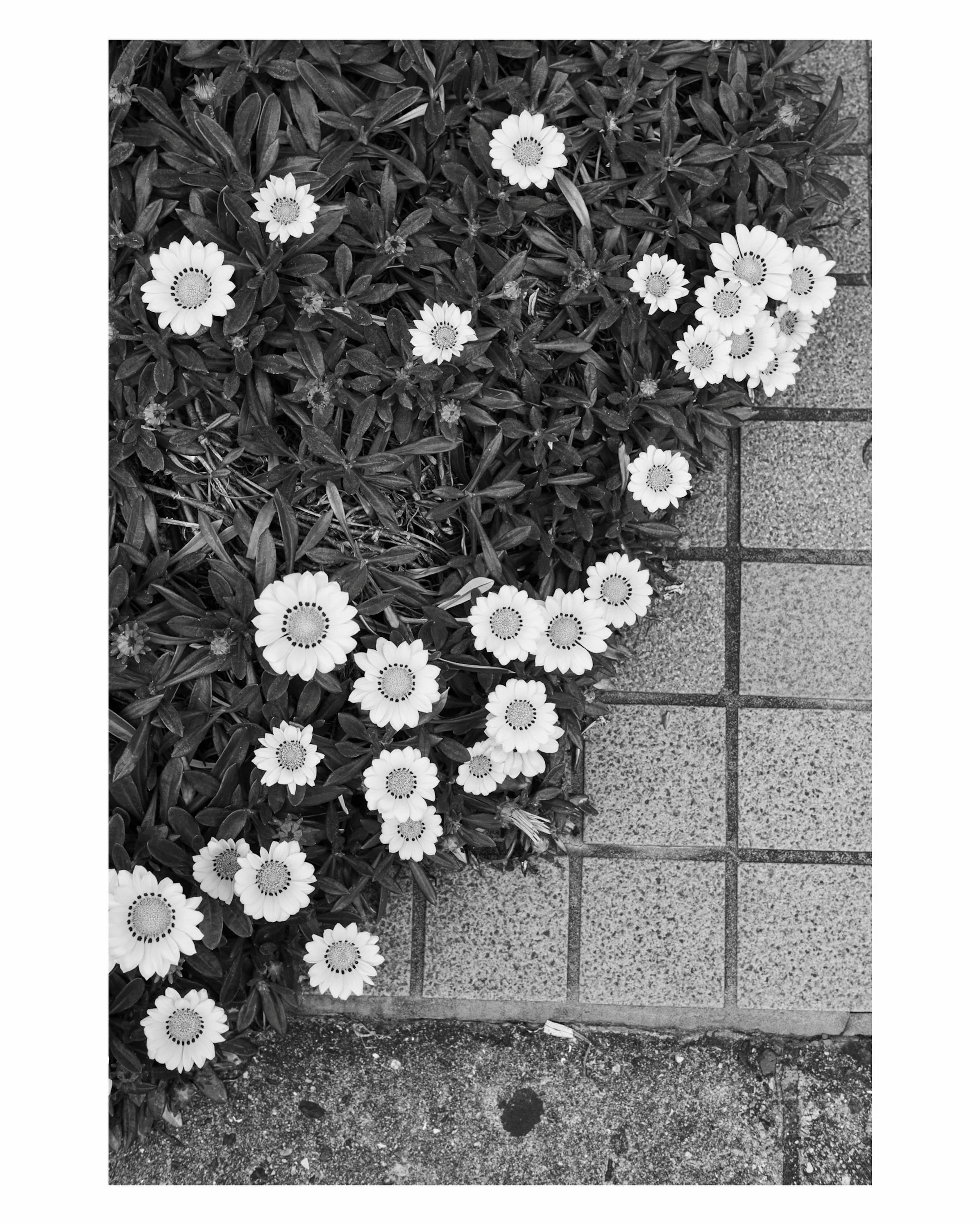 29 avril 2026, Osaka.