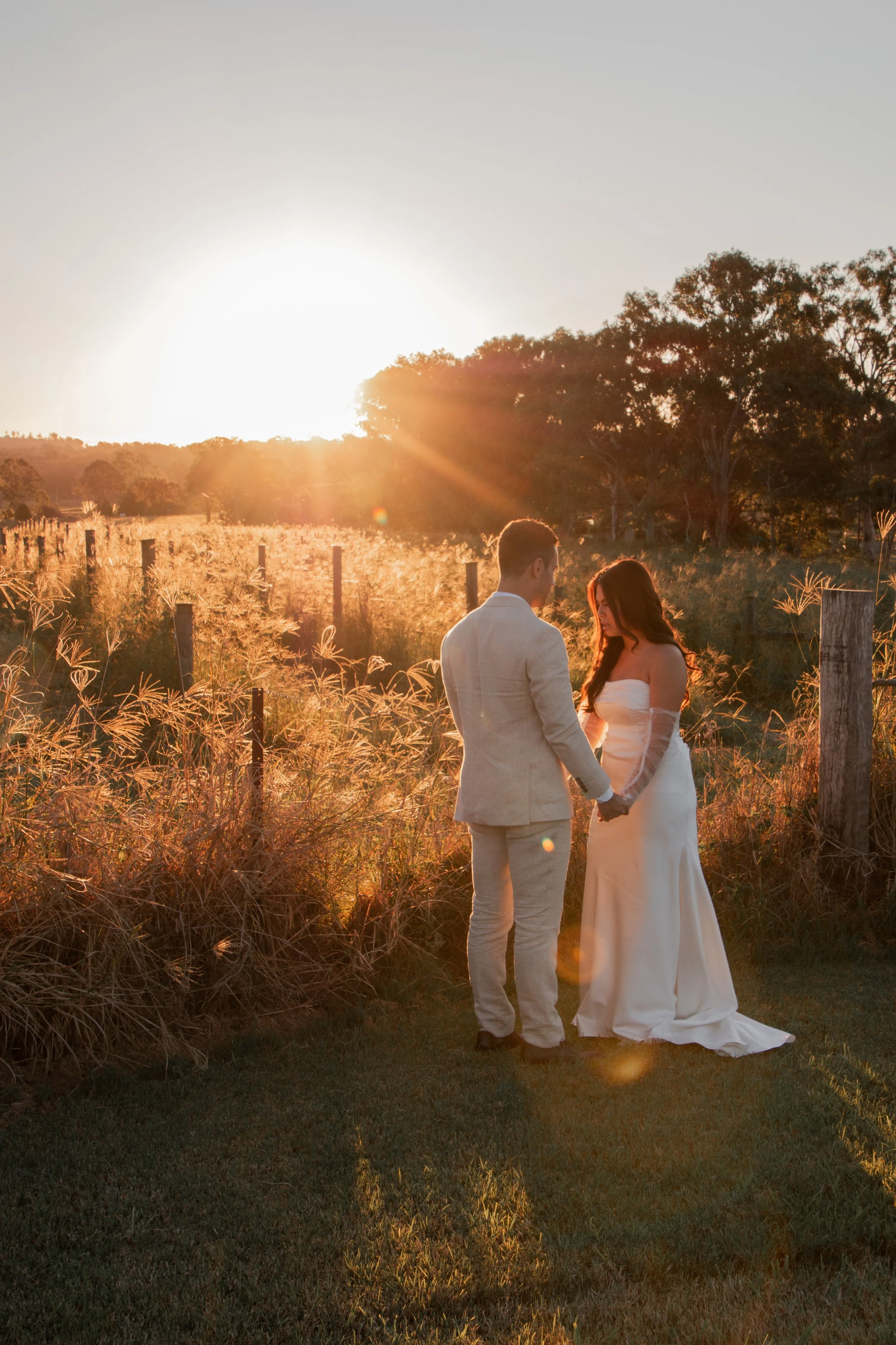 Cypresses Photography