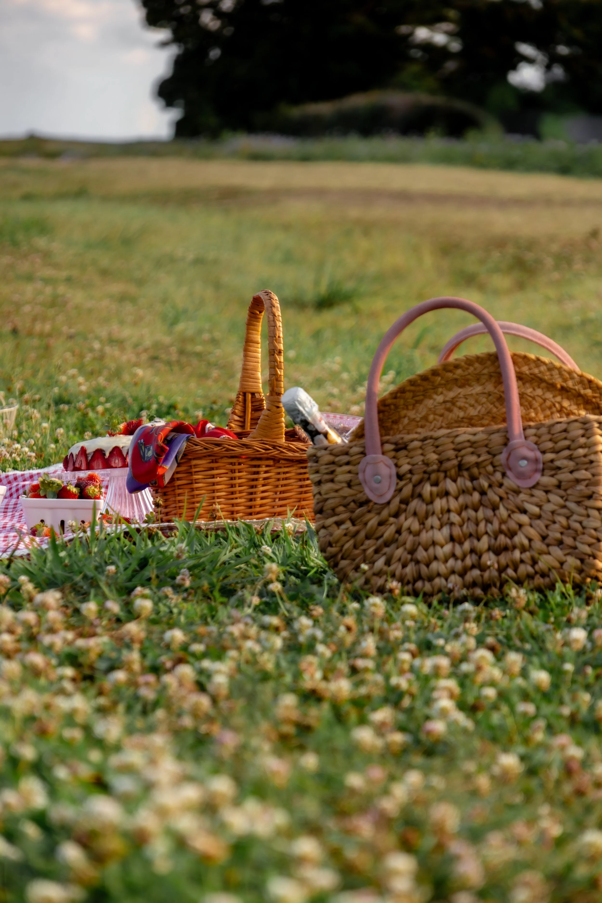 When Is the Best Season for Photoshoots in Queensland?