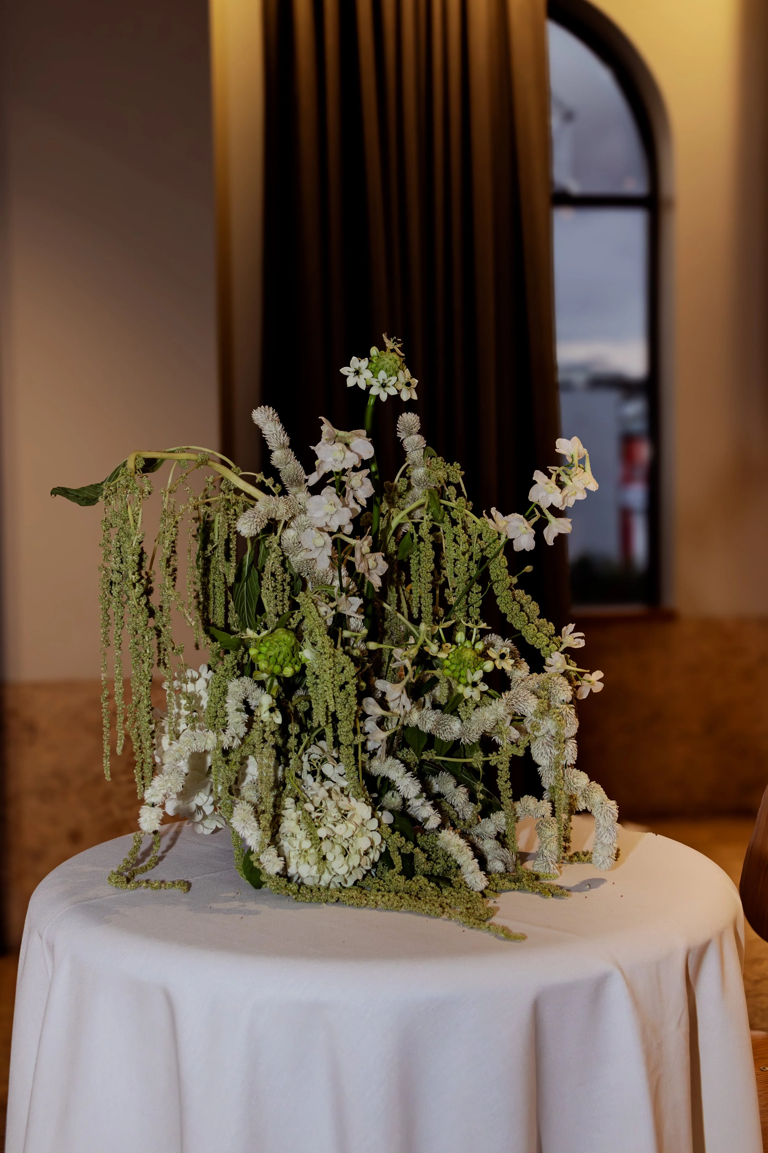 CypressesCreativePhotography-5263.jpg