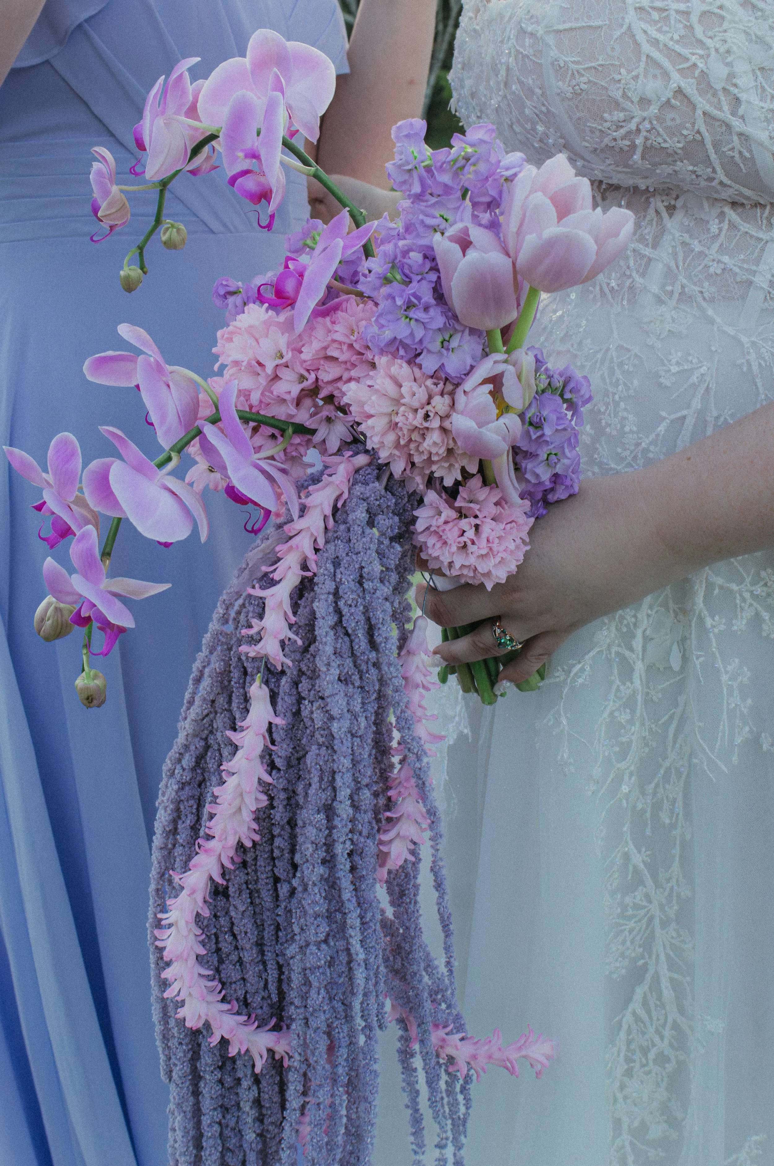 CypressesCreativePhotography-0963.jpg
