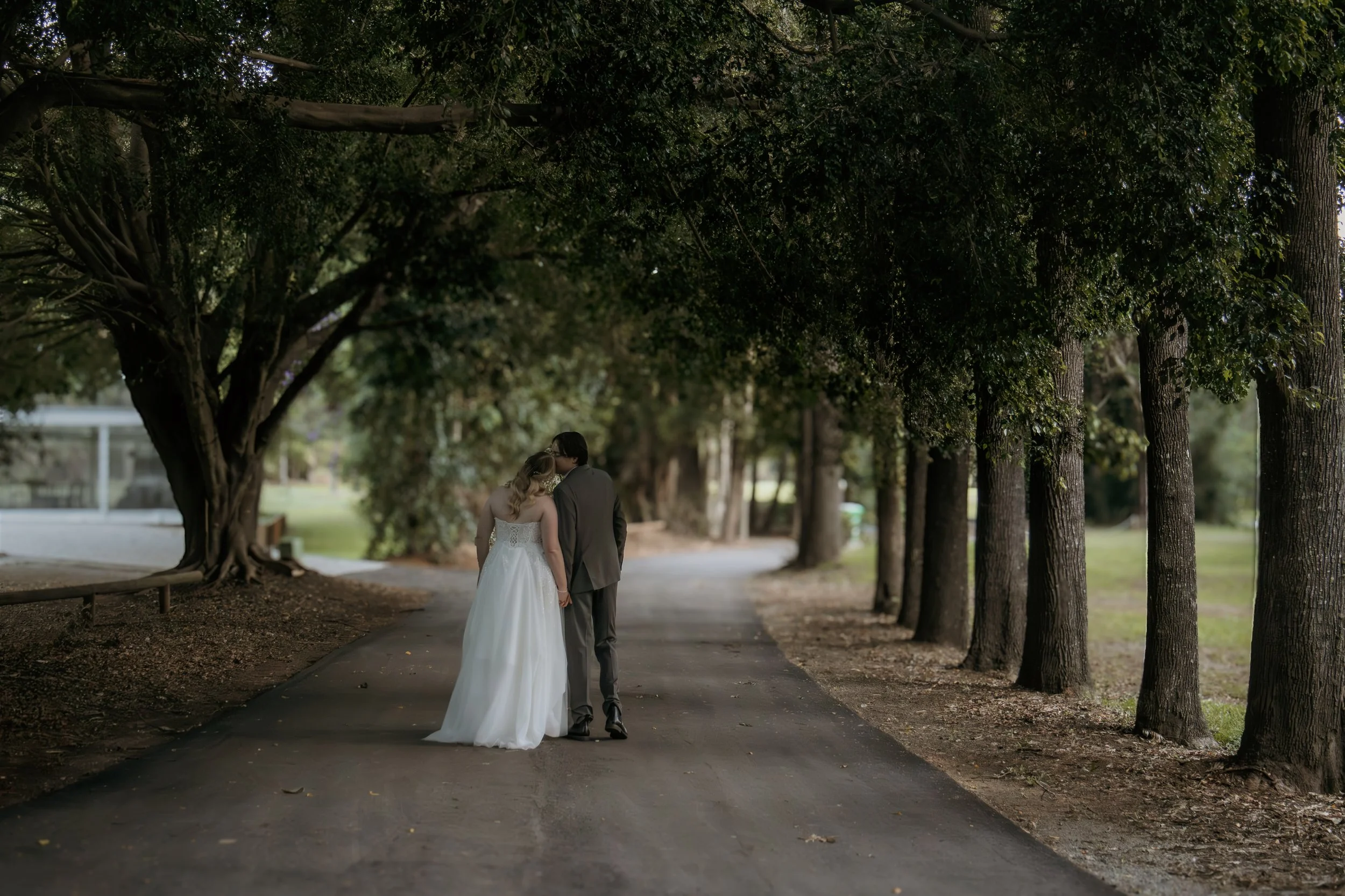 Cypresses Photography — photo 15 of 18