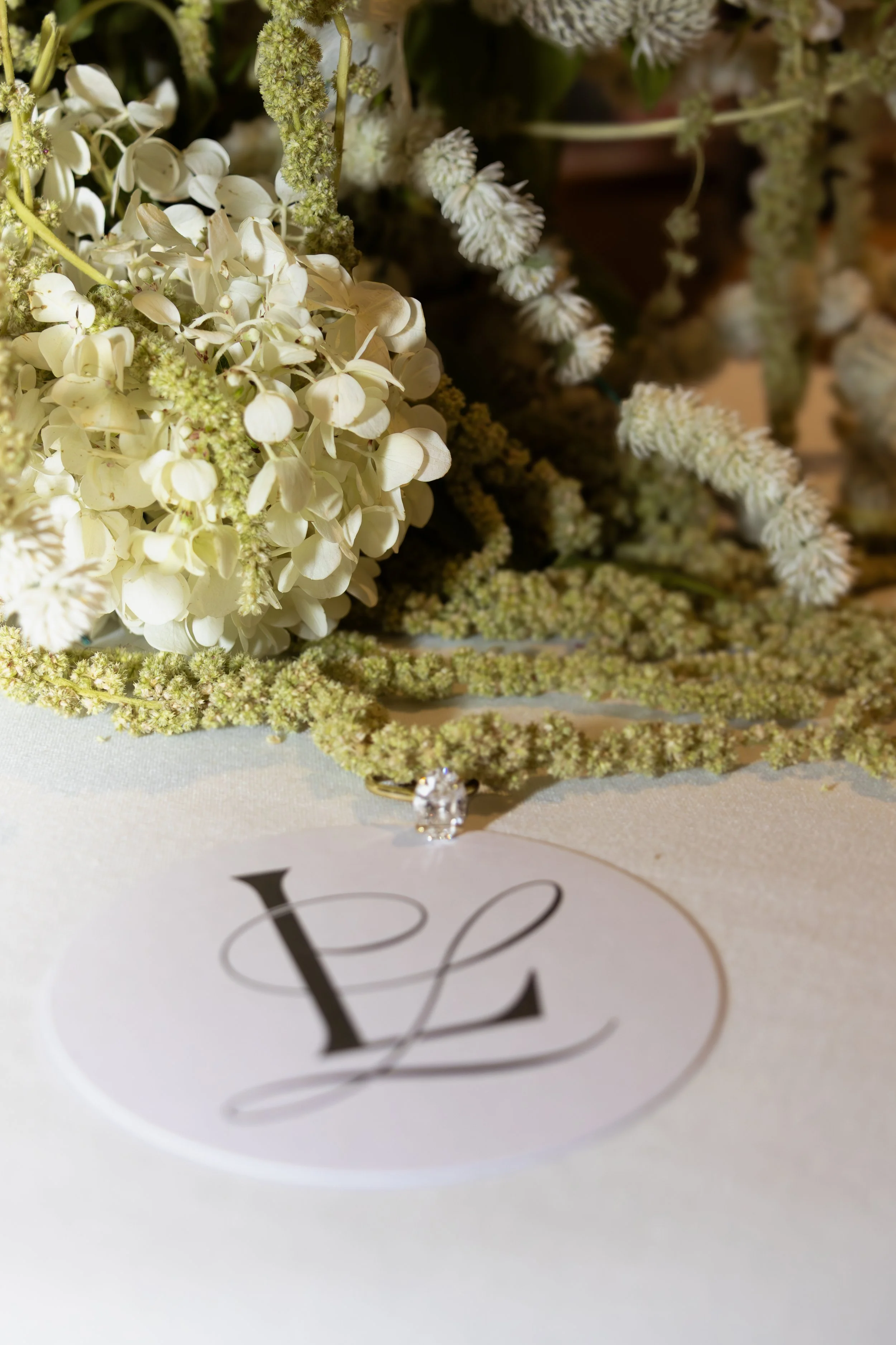 CypressesCreativePhotography-5279.jpg