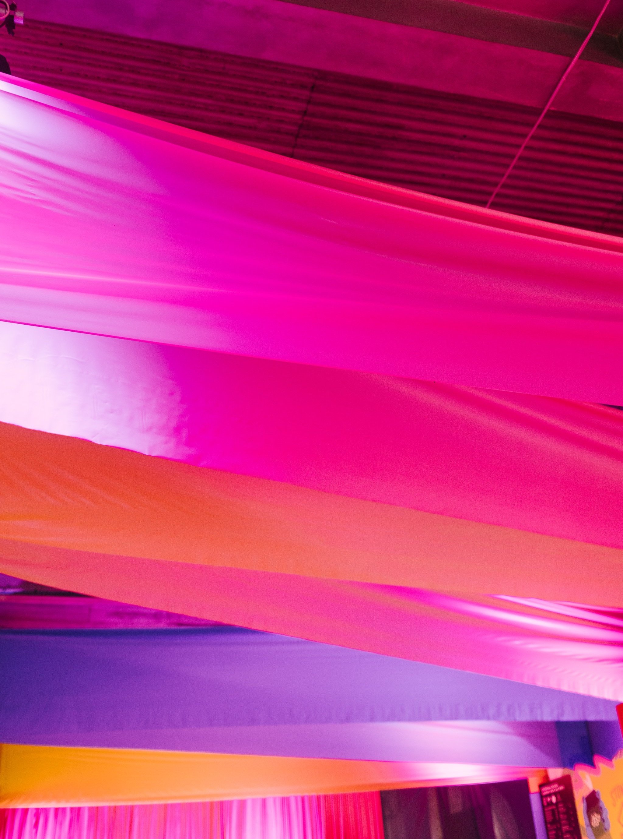 IBH23_TYBB_Fringe_0034.jpg