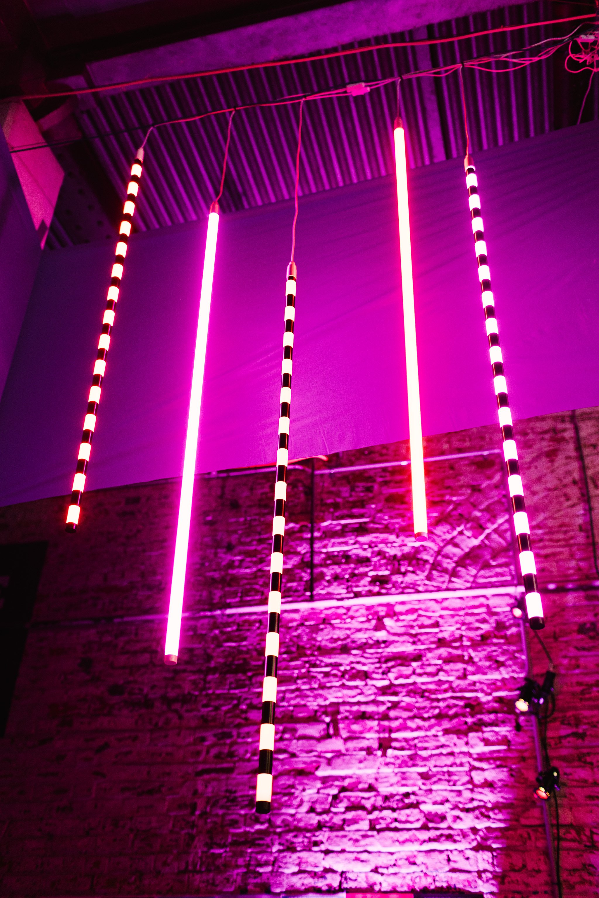 IBH23_TYBB_Fringe_0029.jpg