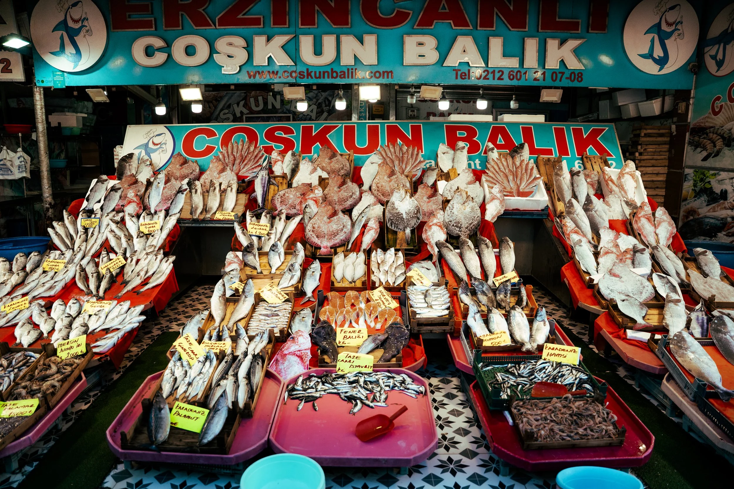 DSC09057.jpg