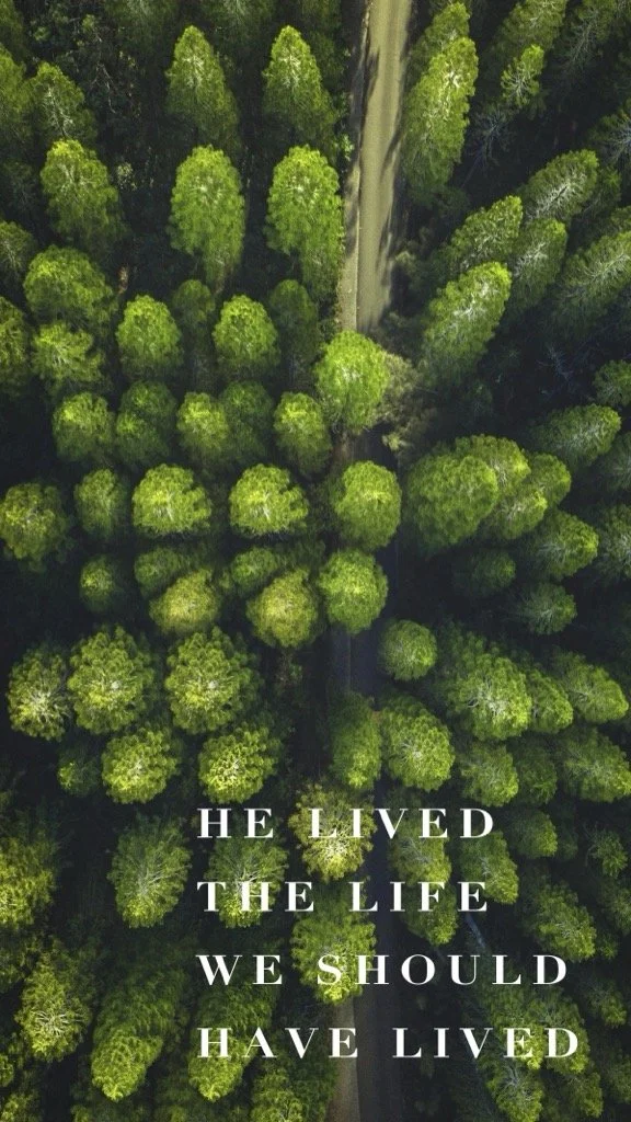 9 Understanding the Gospel Booklet_EN.jpg