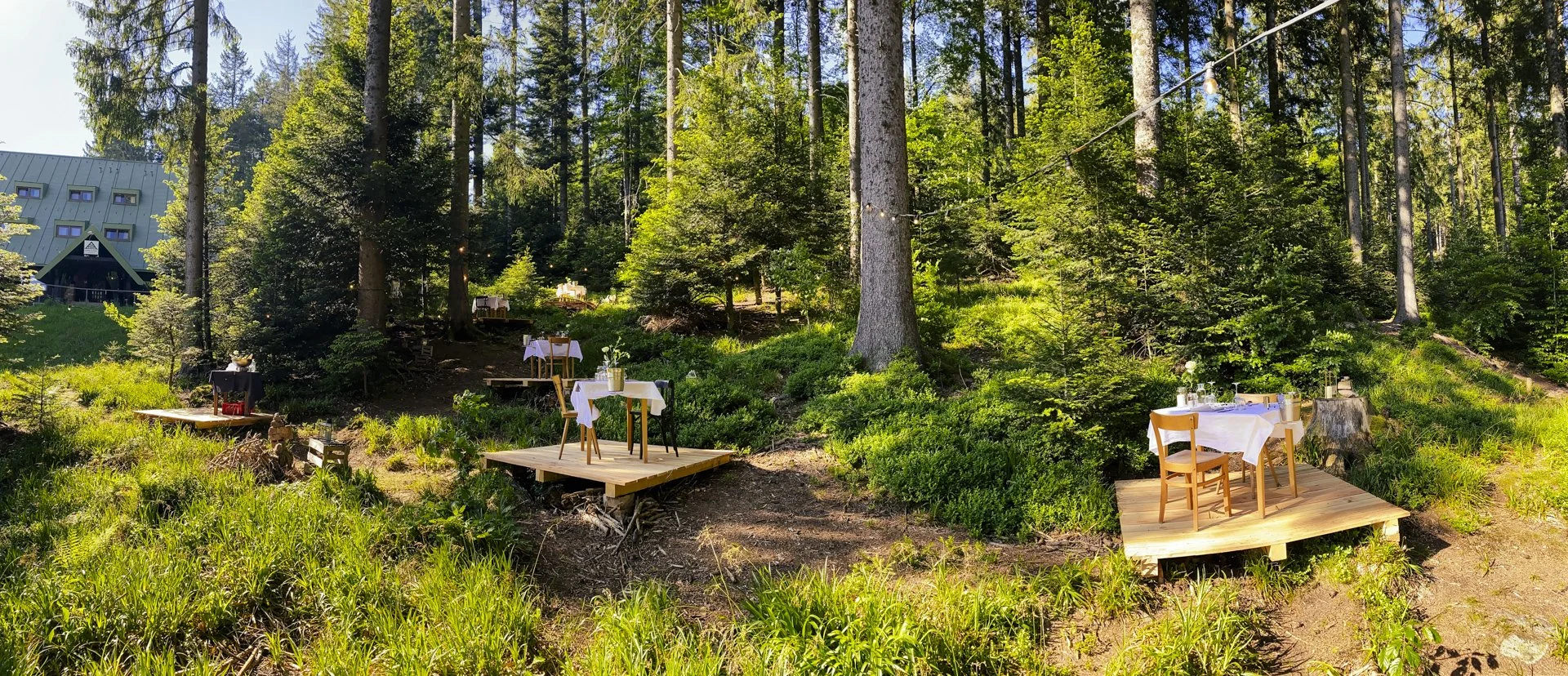 20210611_154246496_iOS_web .jpg