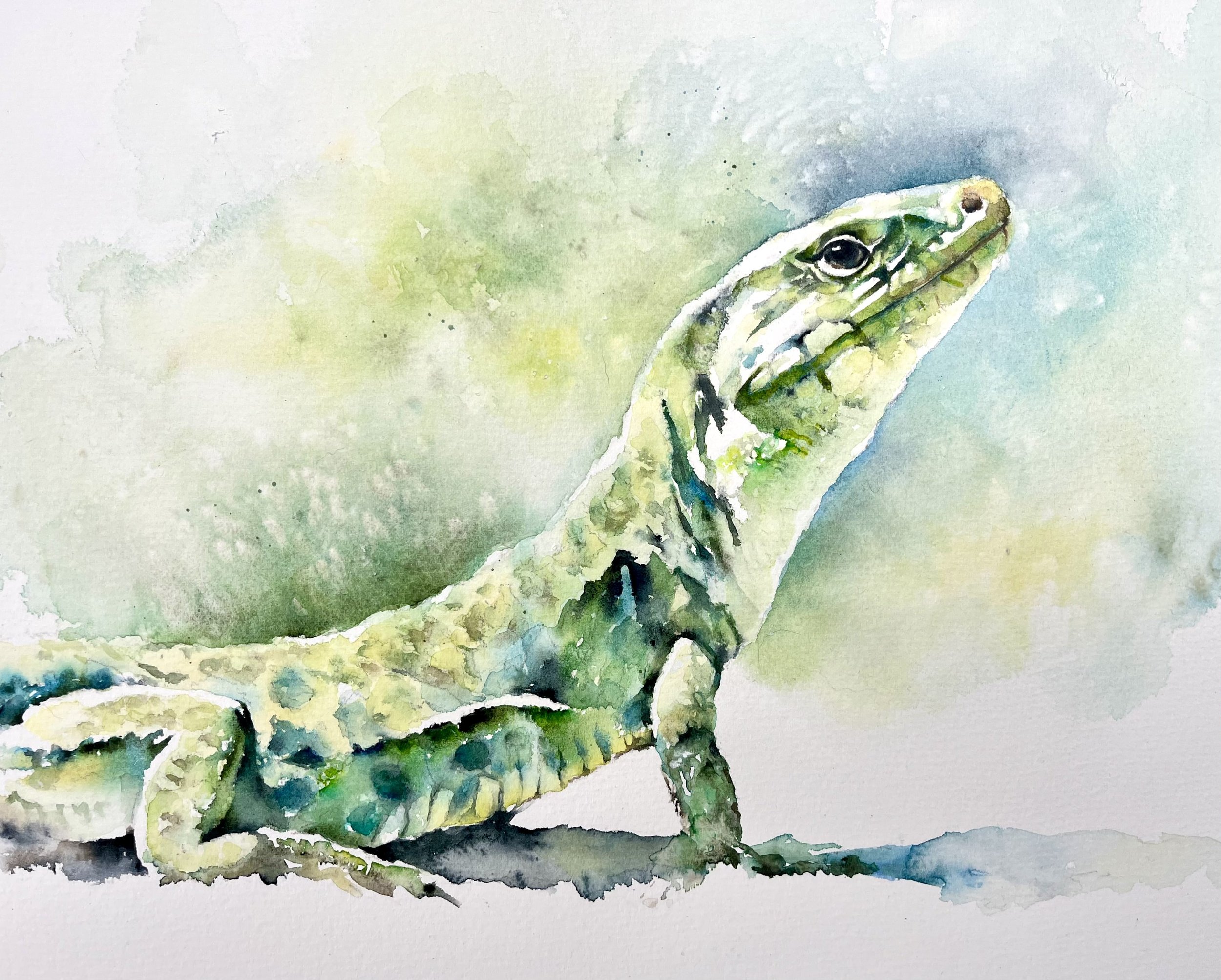 lizard.jpeg