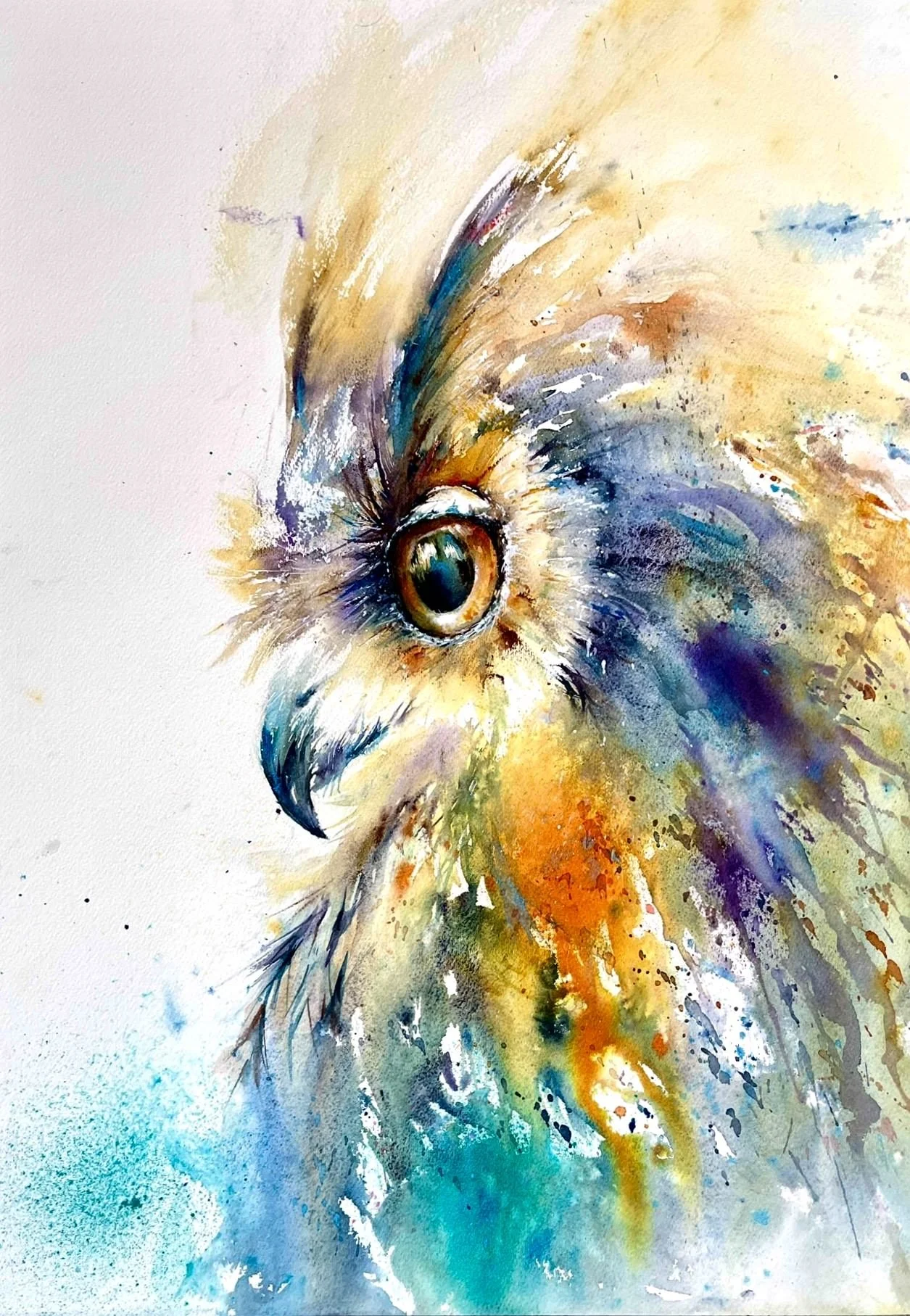 Birds