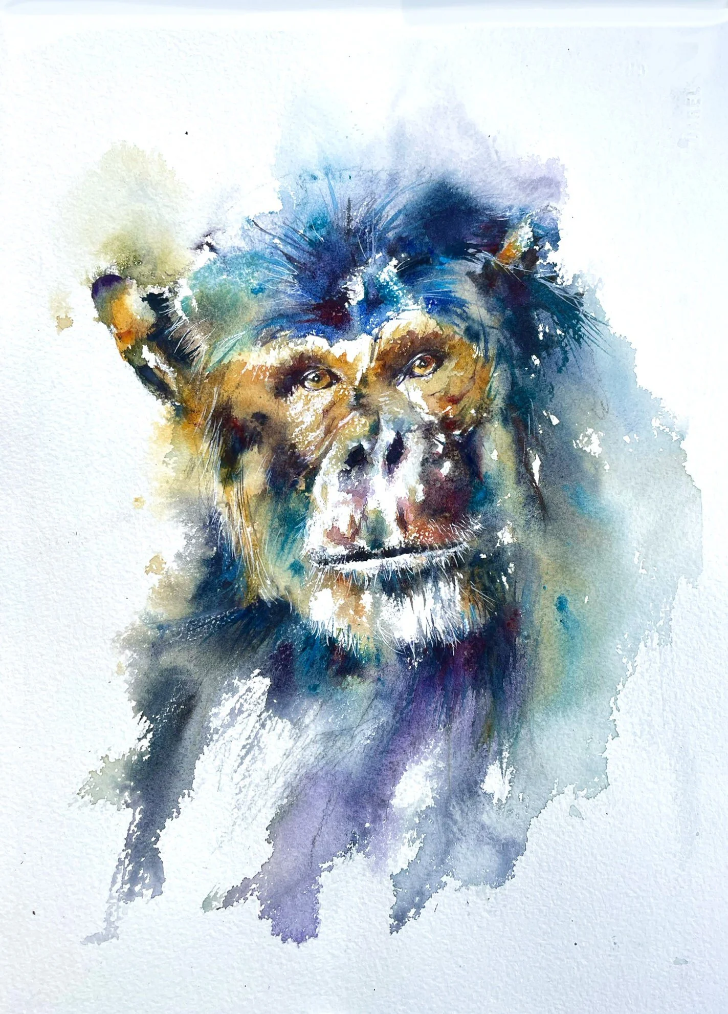 Exotic Animals
