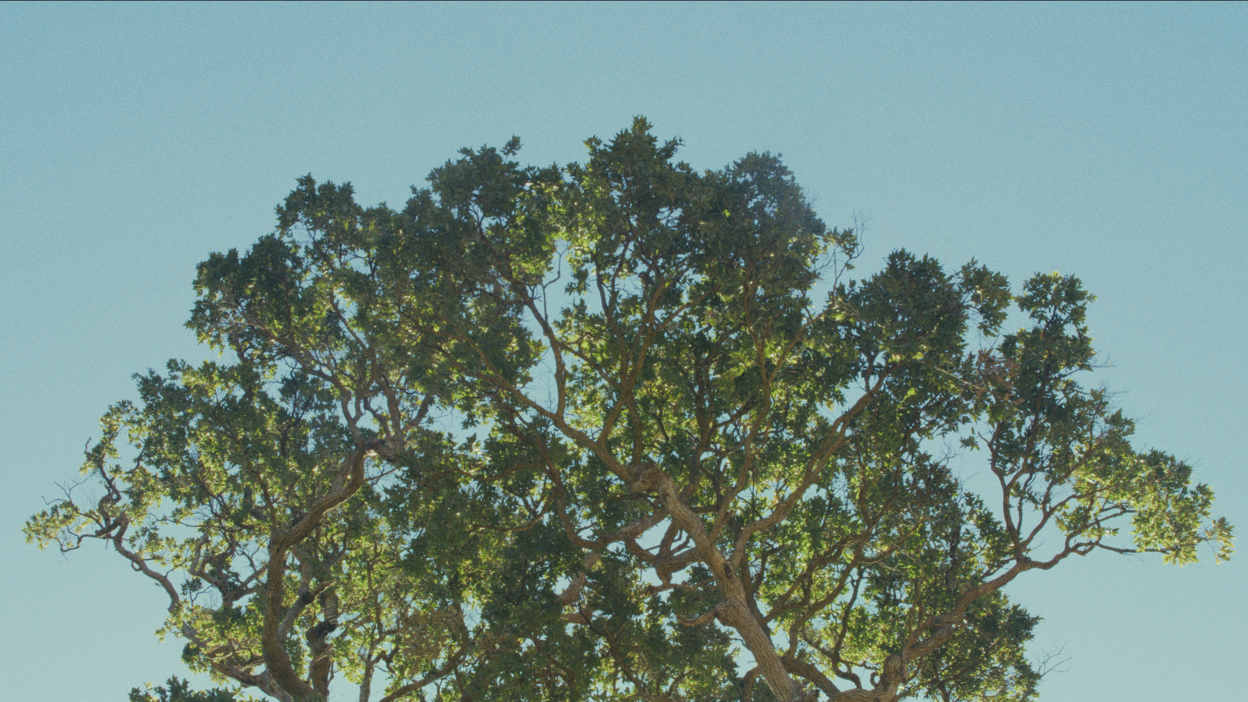 Screenshot 2026-08-23 211908.png