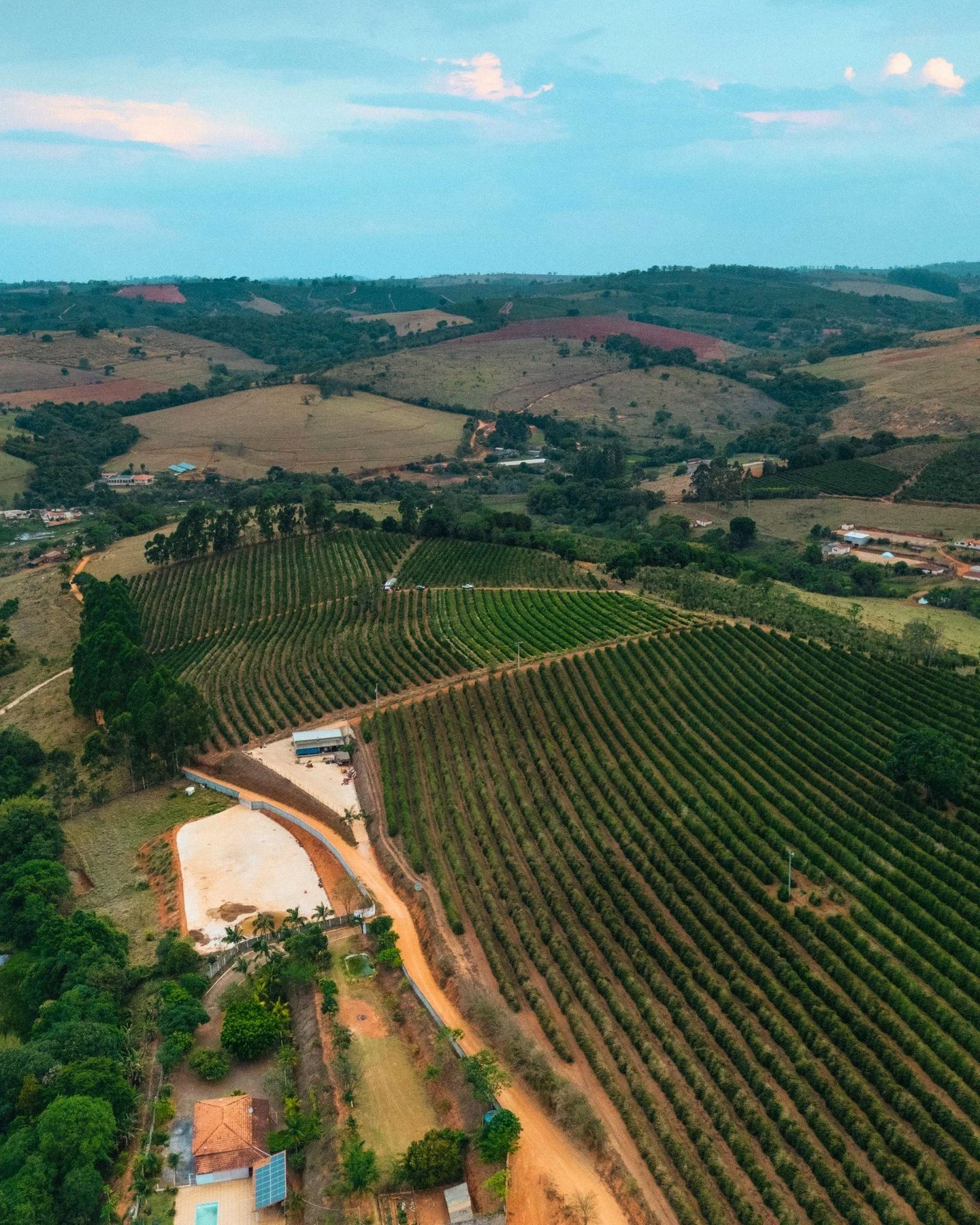 One thing that really stayed with me from this project:

The people trying to fix coffee aren&rsquo;t sitting in fancy conference rooms talking about &ldquo;sustainability strategy.&rdquo;

They&rsquo;re out in the fields planting trees.
Experimentin