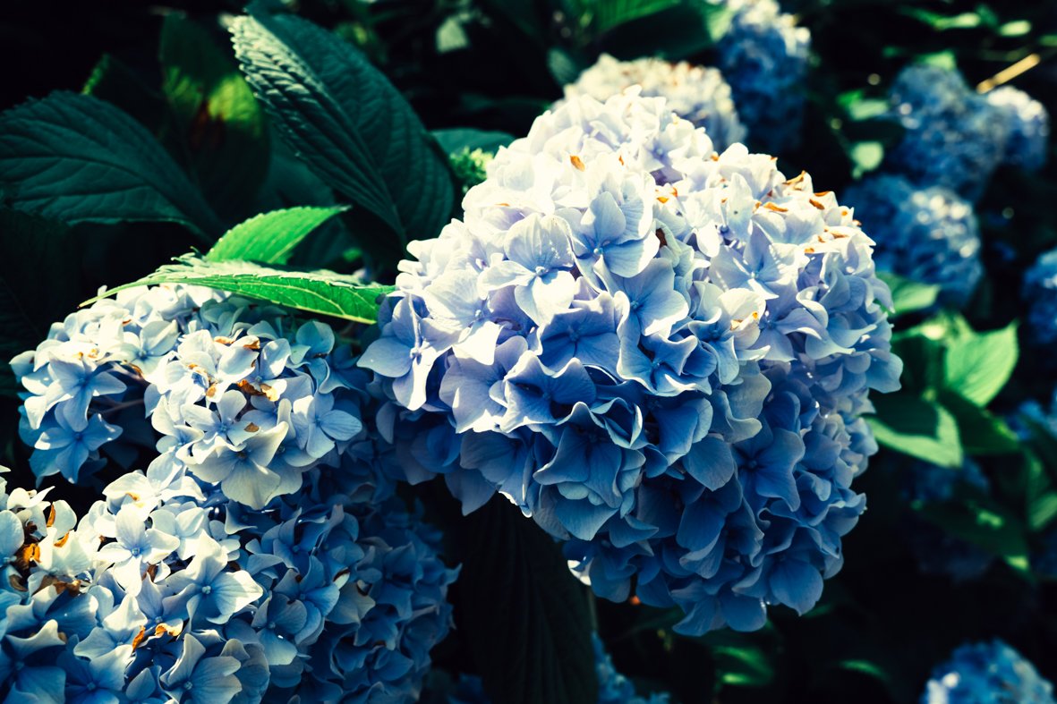 Lara Carbone Foto di Matrimonio-61.jpg