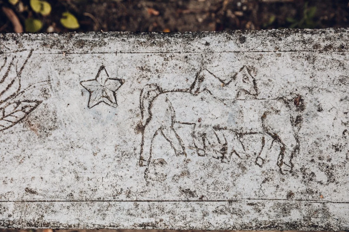 2025-07-26Lara Carbone Wedding Photographer_-17.jpg