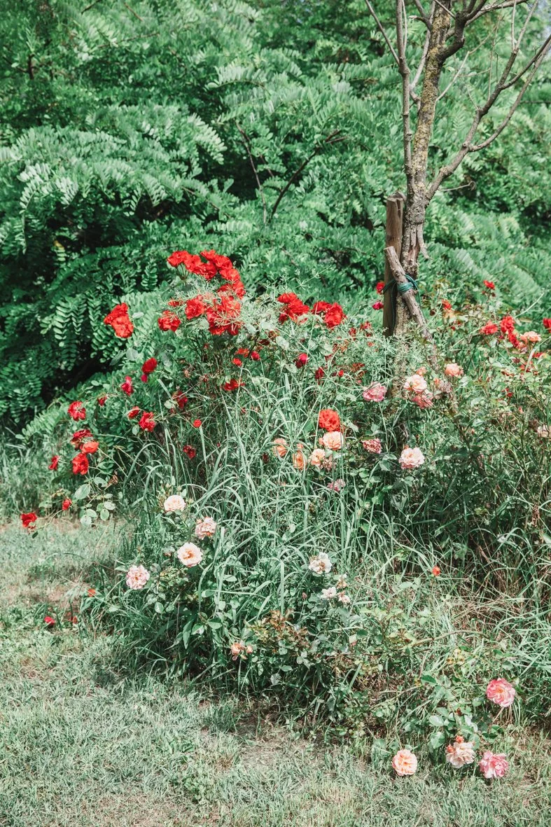 Lara Carbone Foto di Matrimonio-60.jpg