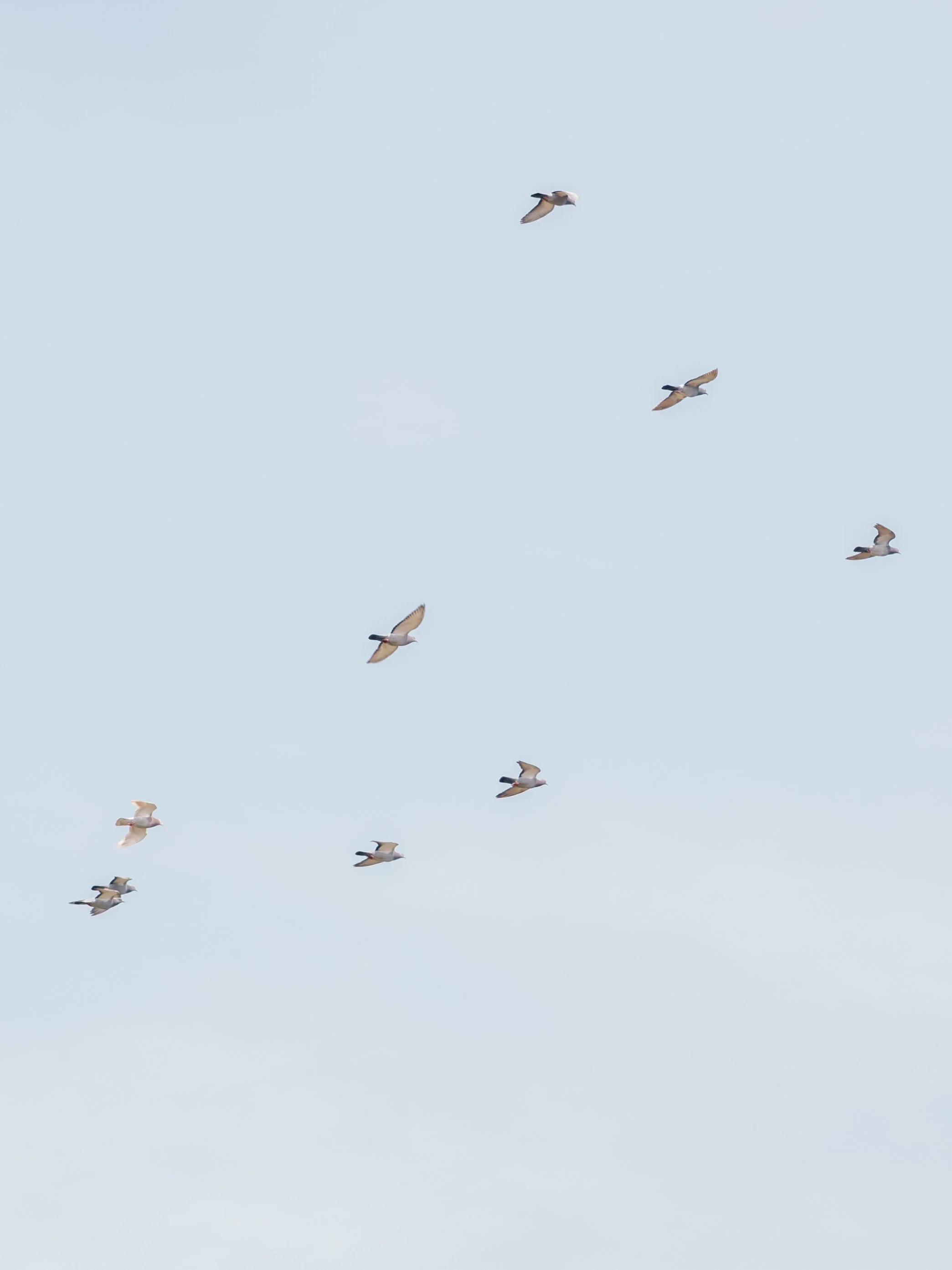 L1090062.jpg