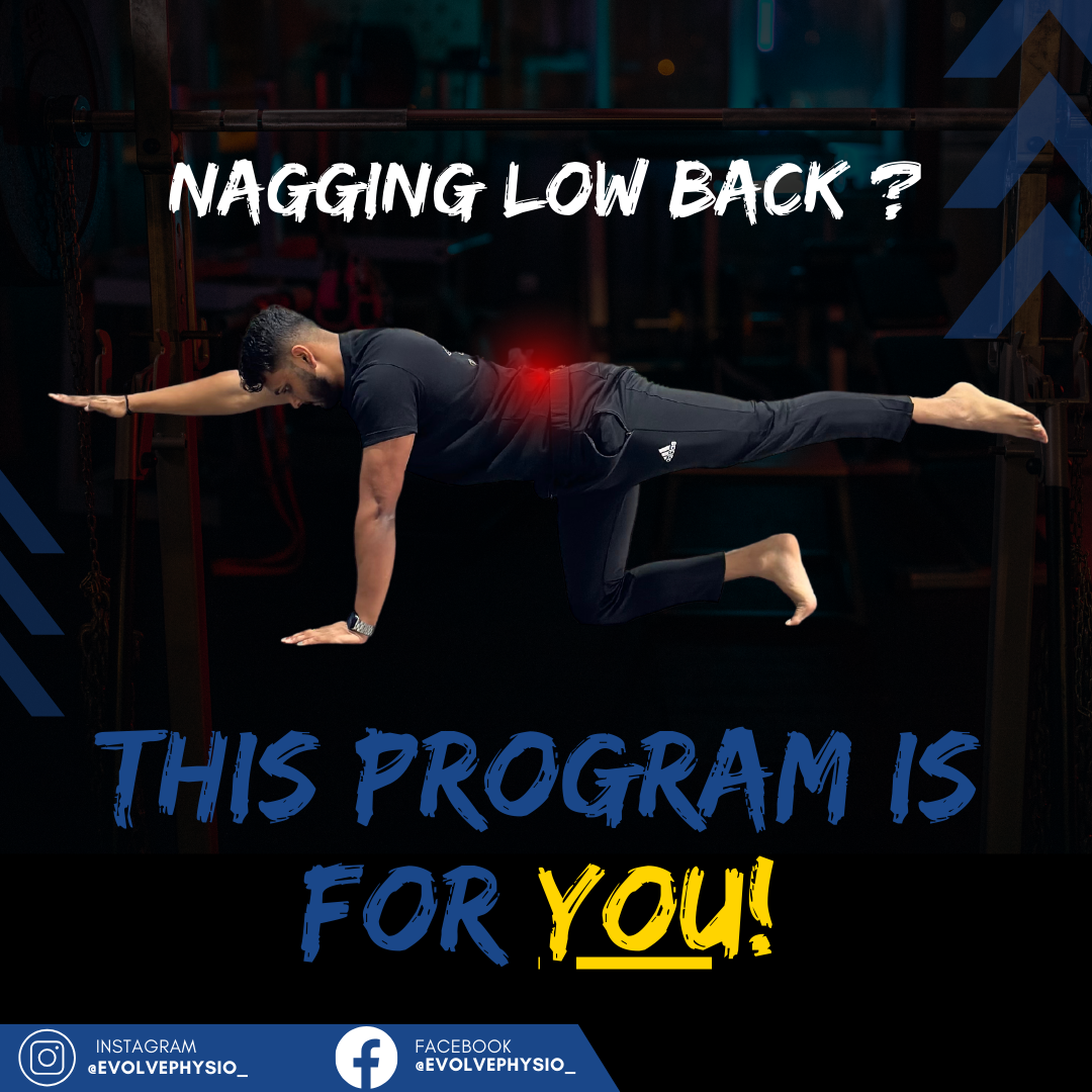 The Back Pain Mastery Guide