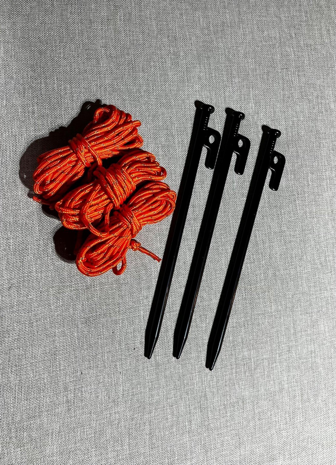 guy wires.jpg