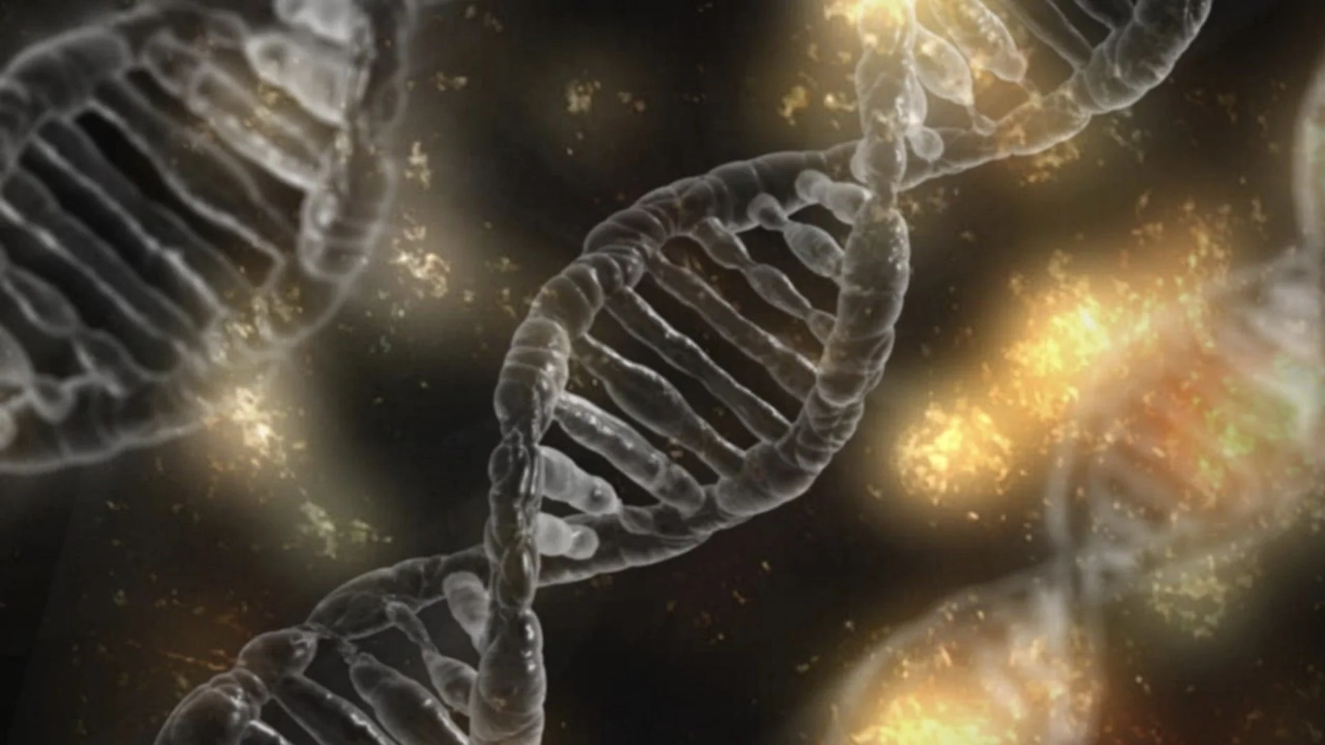 How does work? — CoreBioMind