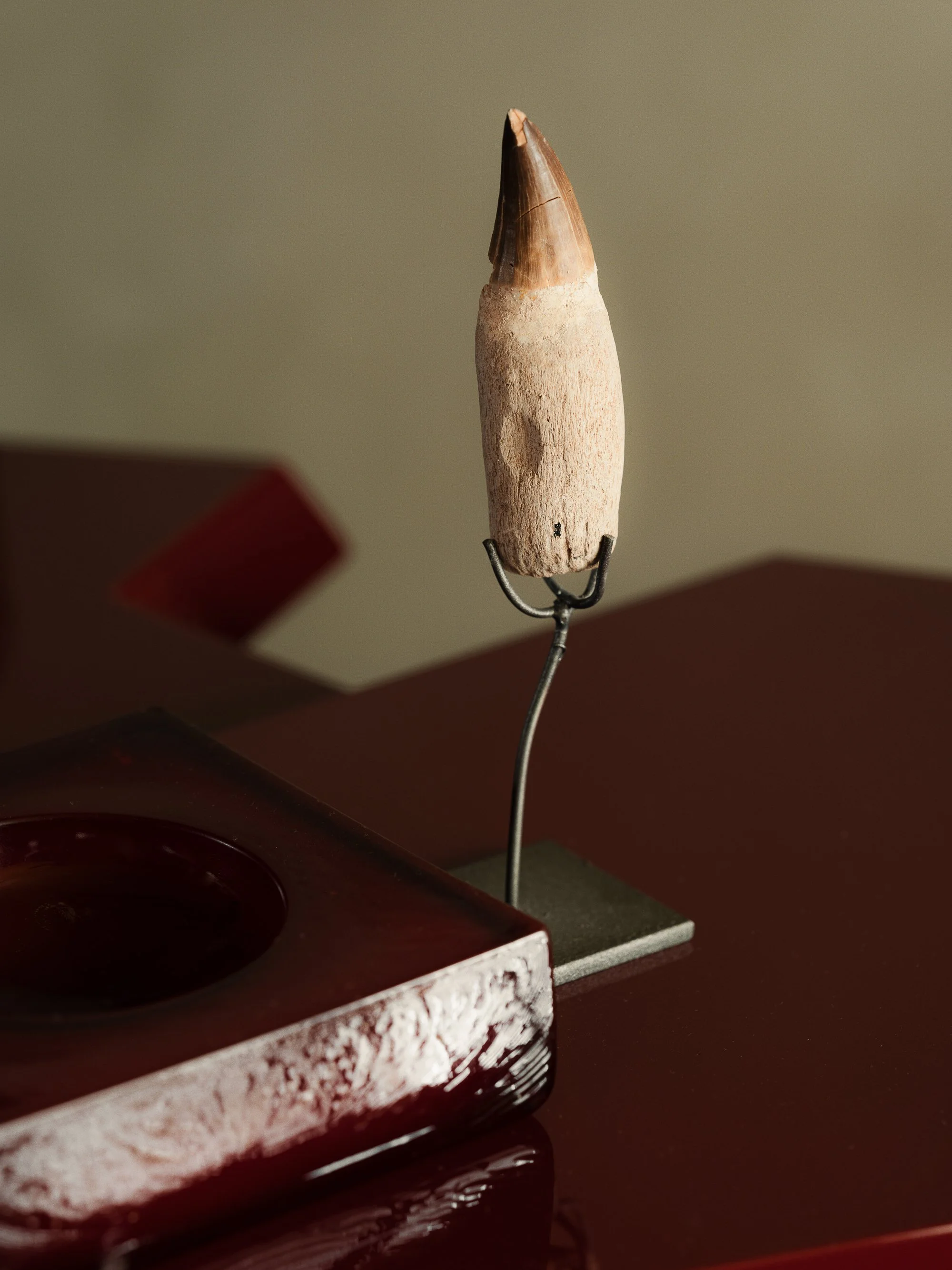 ©JUANJEREZ_HUGO-TORO-OPEN-HOUSE-7211.jpg
