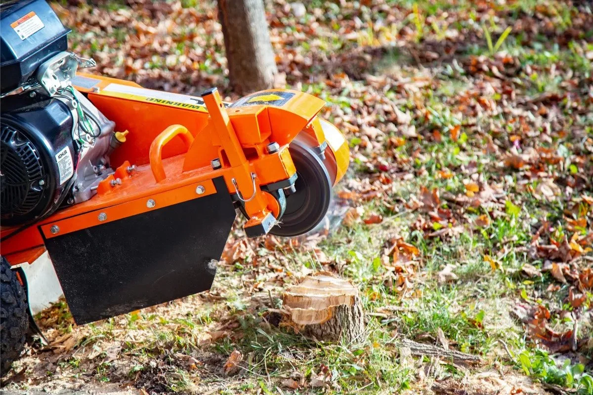 stump grinding