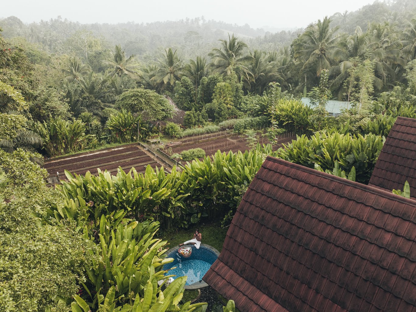 DJI_20241127030307_0024_D.jpg