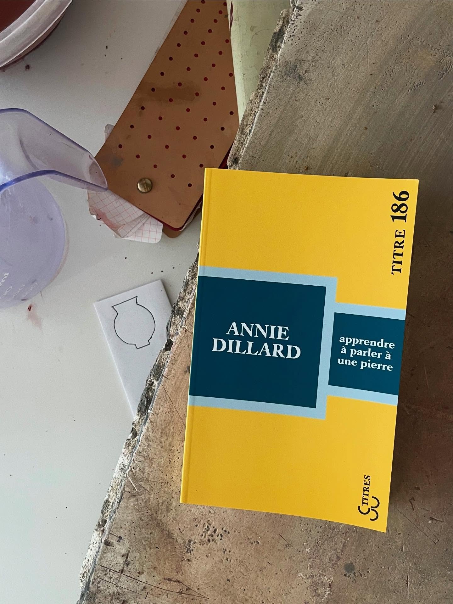 “Apprendre à parler à une pierre” d’Annie Dillard (Christian Bourgois, 2017)