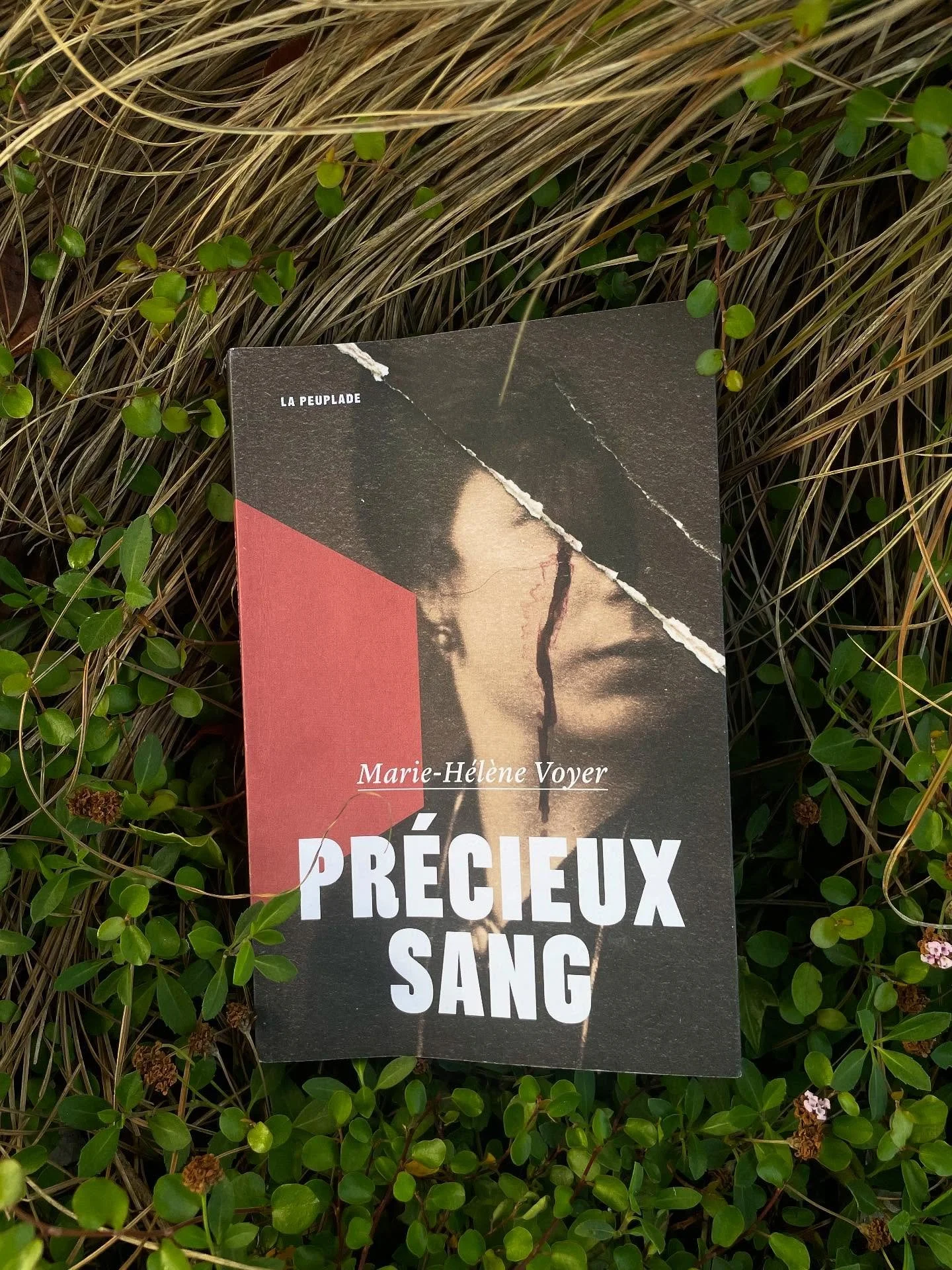 “Précieux Sang” de Marie-Hélène Voyer (La Peuplade, 2025)