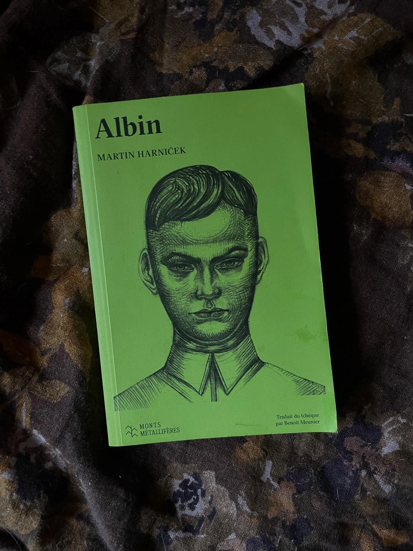 “Albin” de Martin Harnicek (Monts Métallifères, 2026)