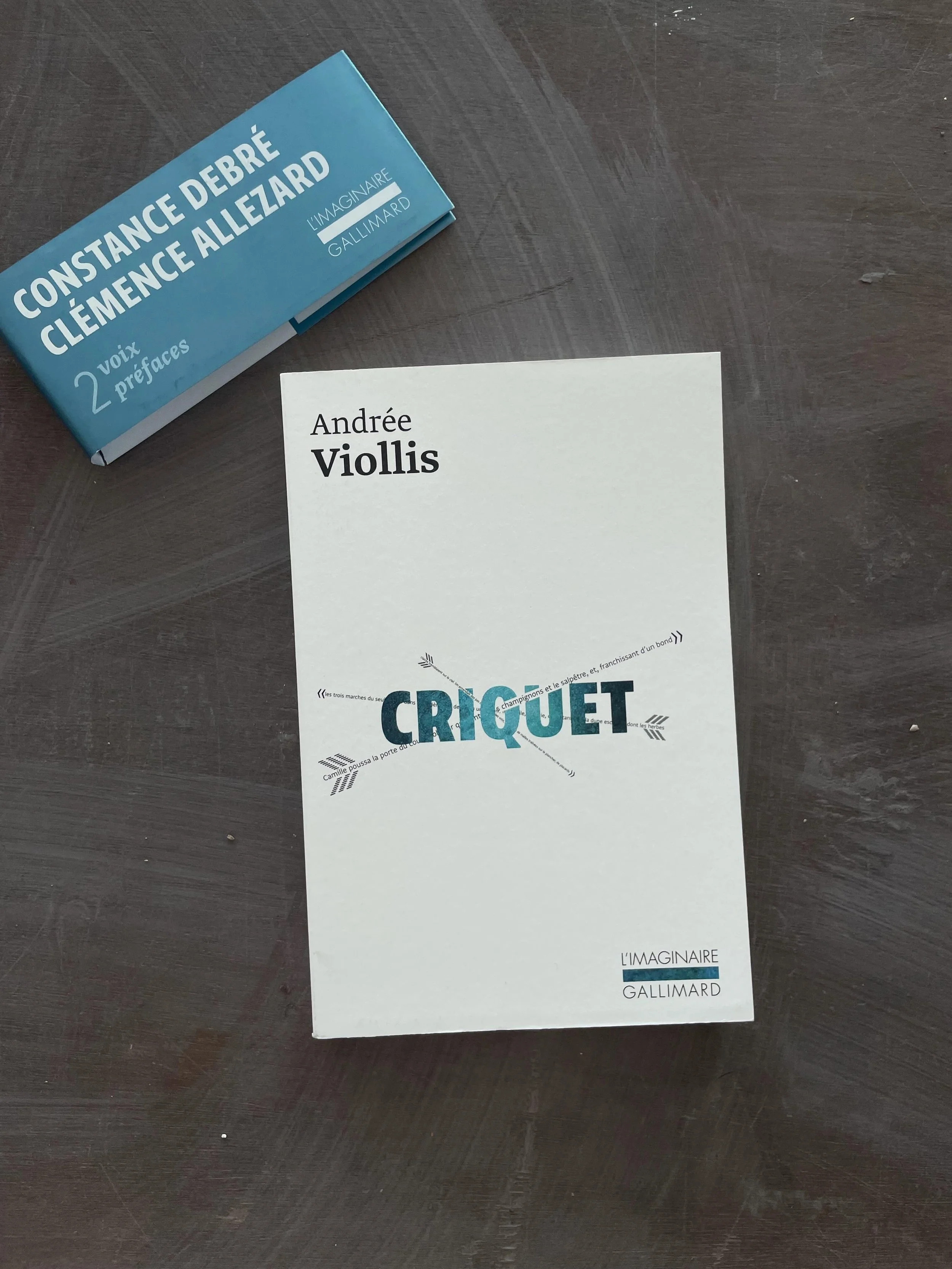 “Criquet” d’Andrée Viollis (L’Imaginaire Gallimard, 2021)