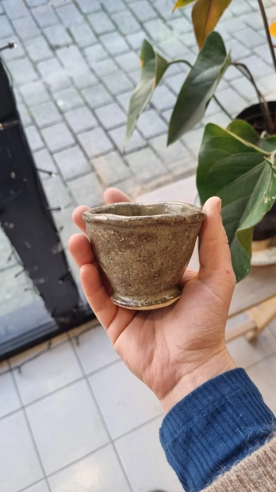 WhatsApp Image 2025-03-05 à 11.35.49_aece55db.jpg