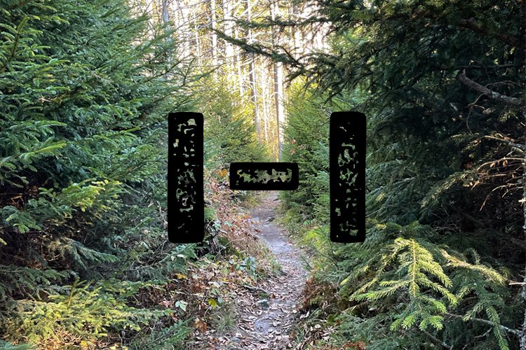 path through fir trees with graphic overlay saying "1-1"