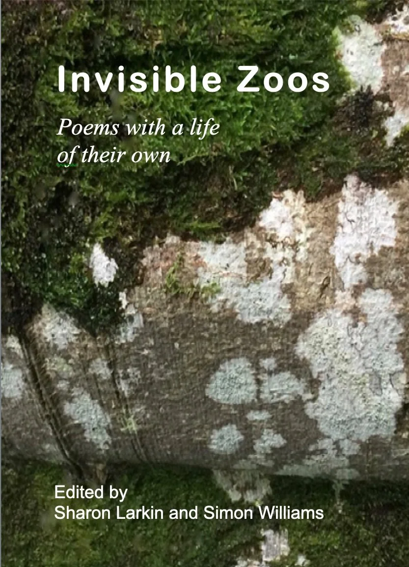 invisible zoos.jpg