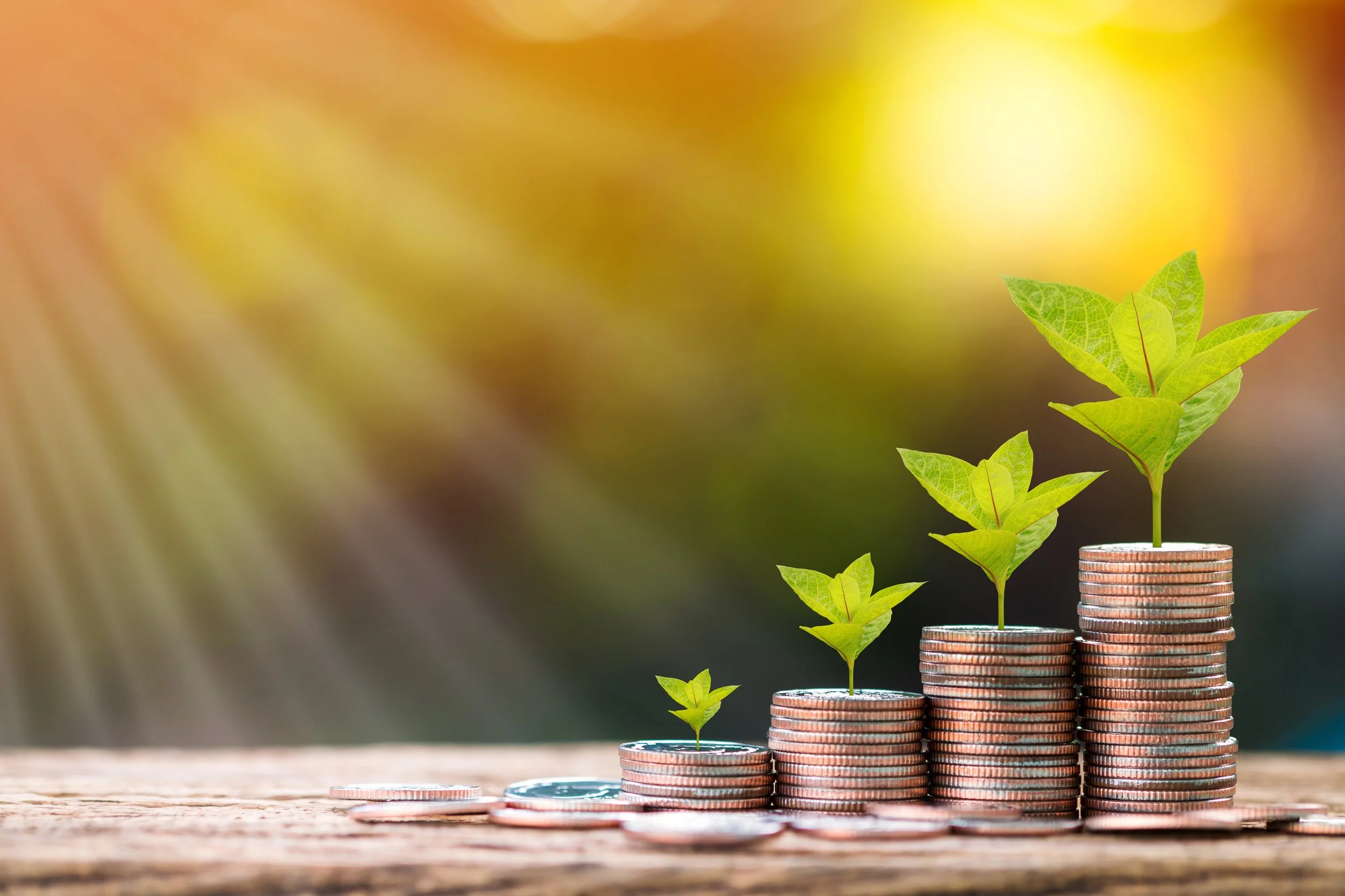 Maximizing Business Value: Proven Techniques for Success