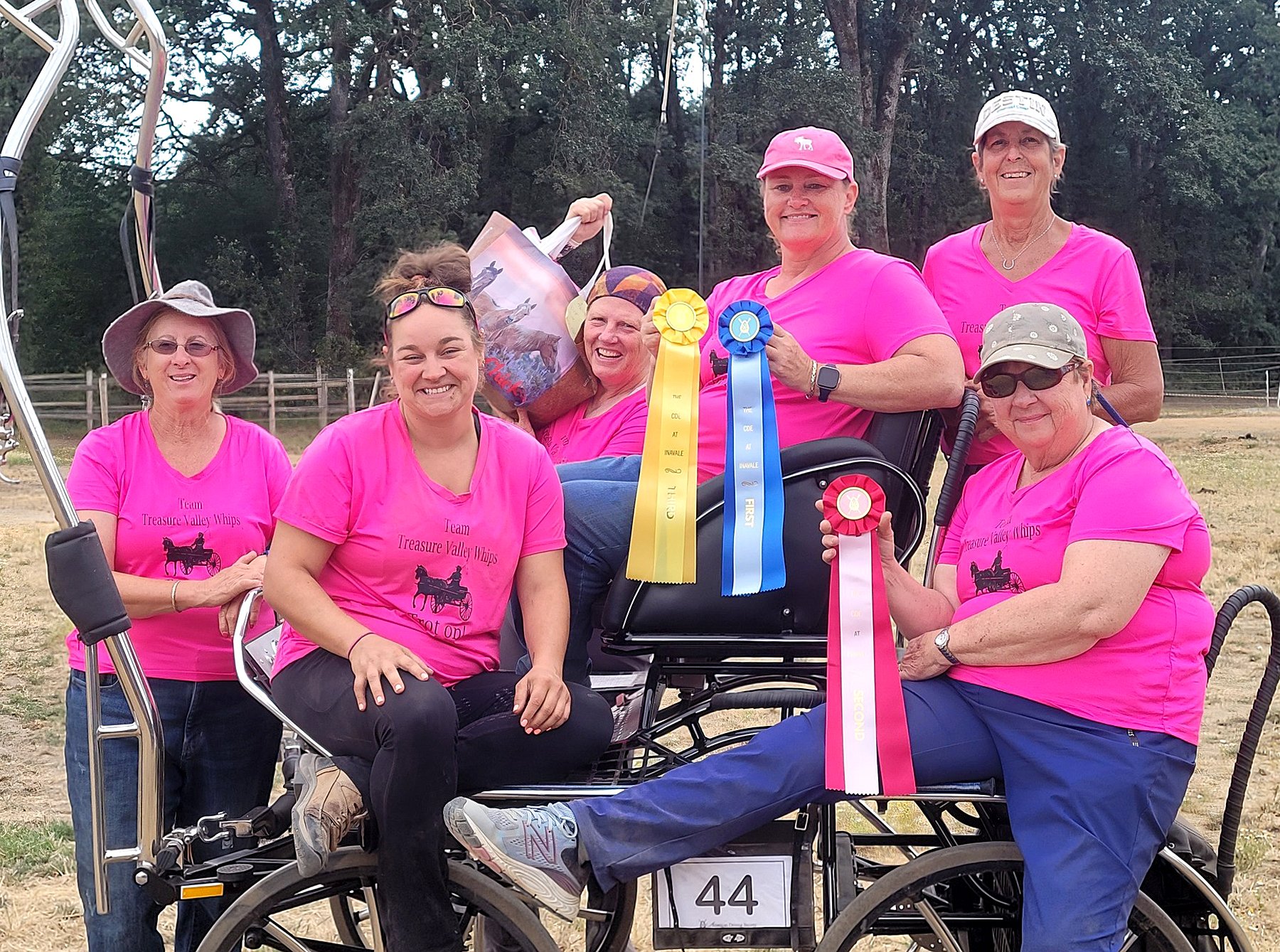 Carriage Driving Camp