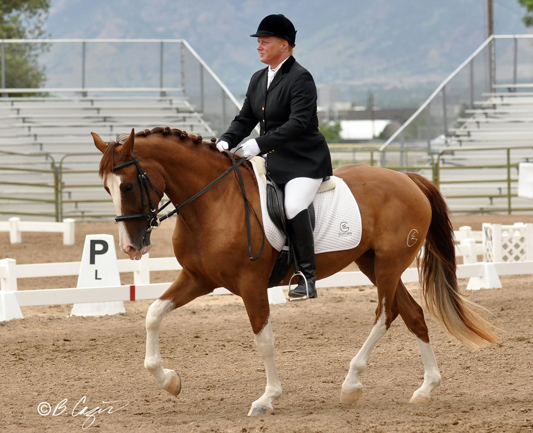 chambords miss friday.jpg