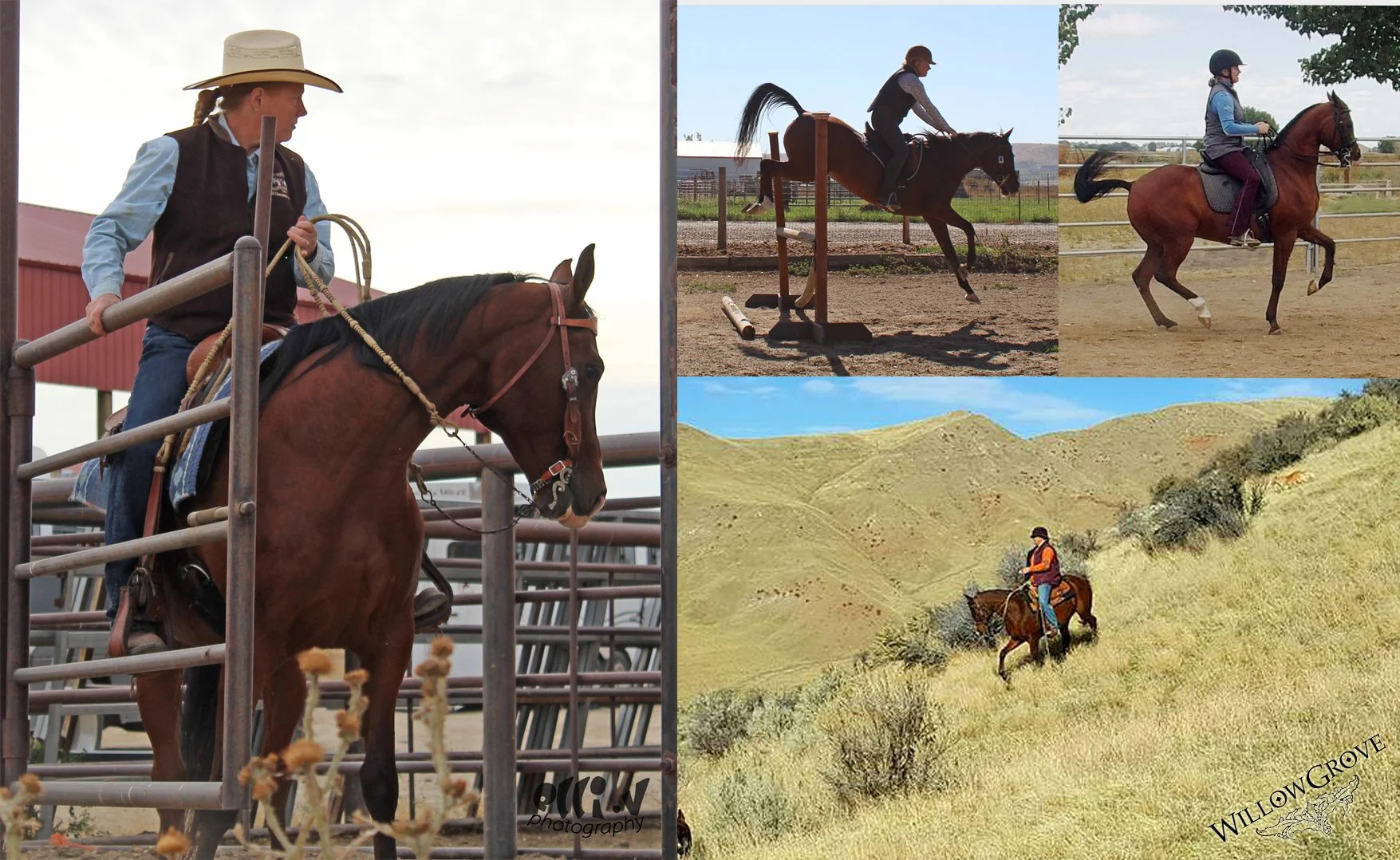 Profound horsemanship…greater understanding
