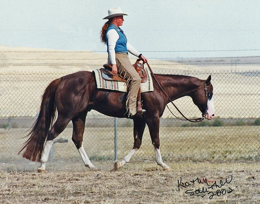 sundance copy.jpg