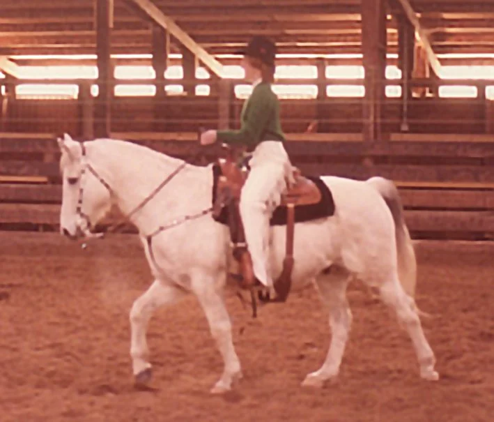 buckhihorse.jpg