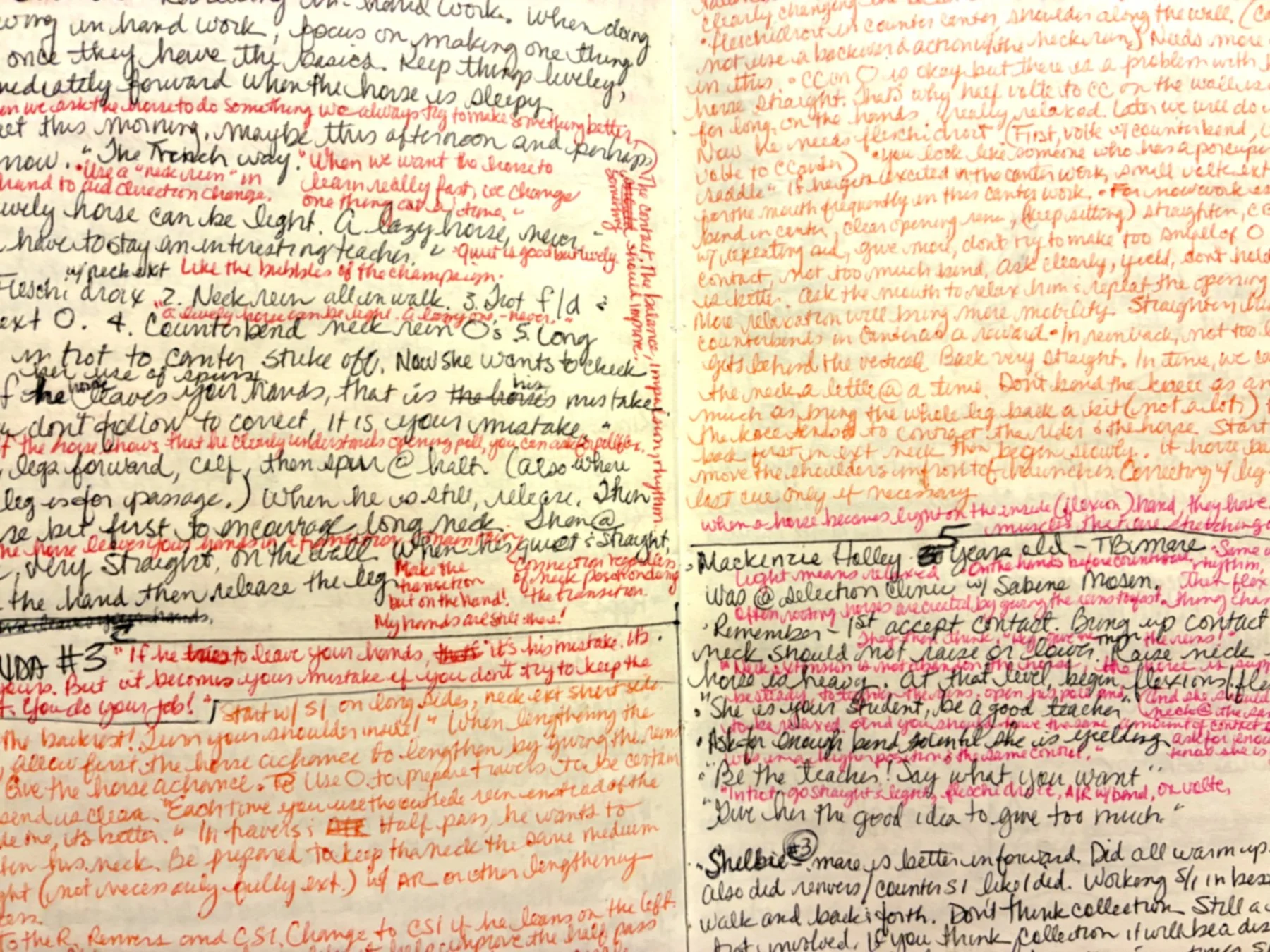 notes3.jpg