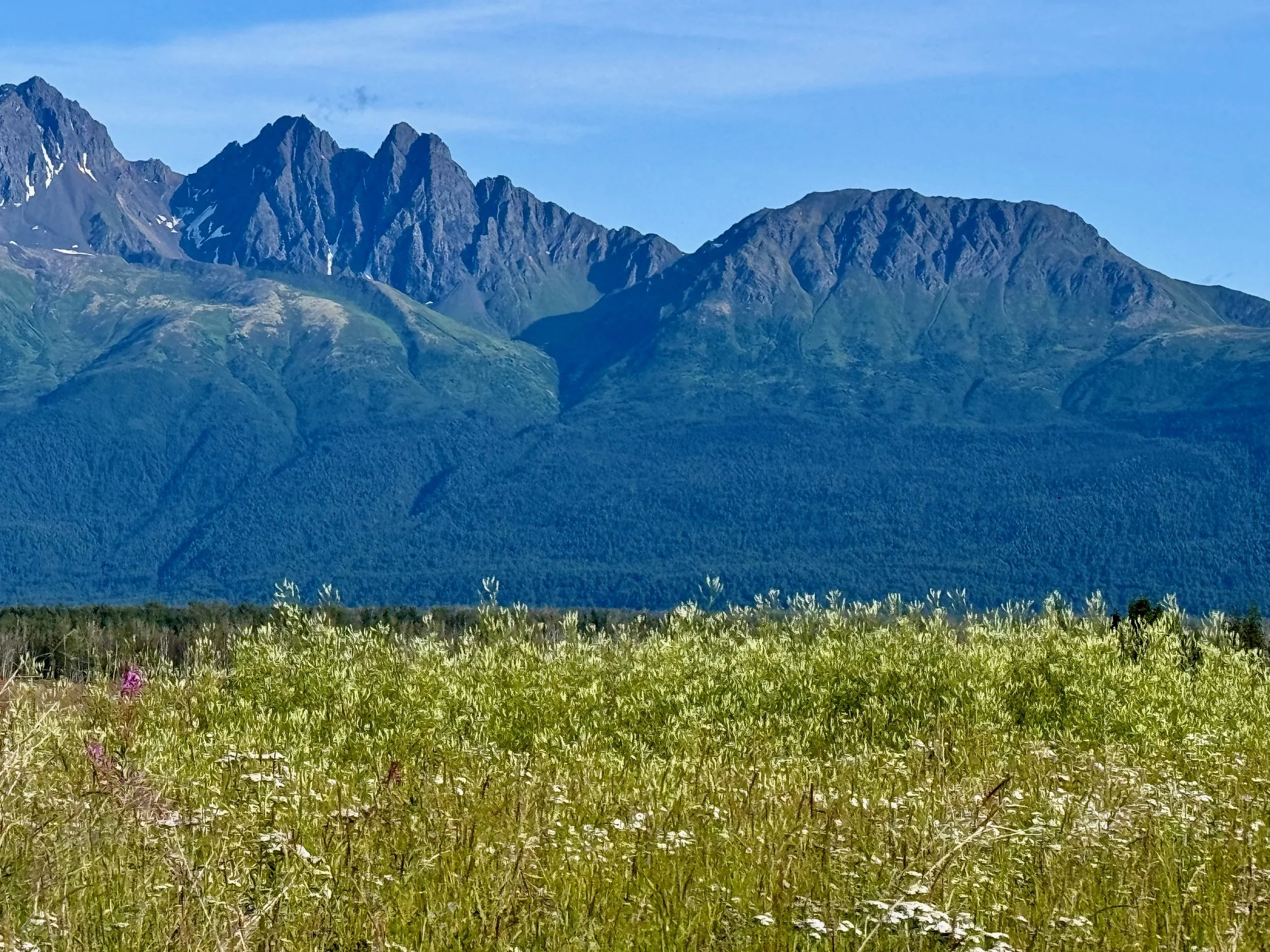 A scenic landscape featuring a large mountain range with peaks, a forested hillside, and a grassy field in the foreground.