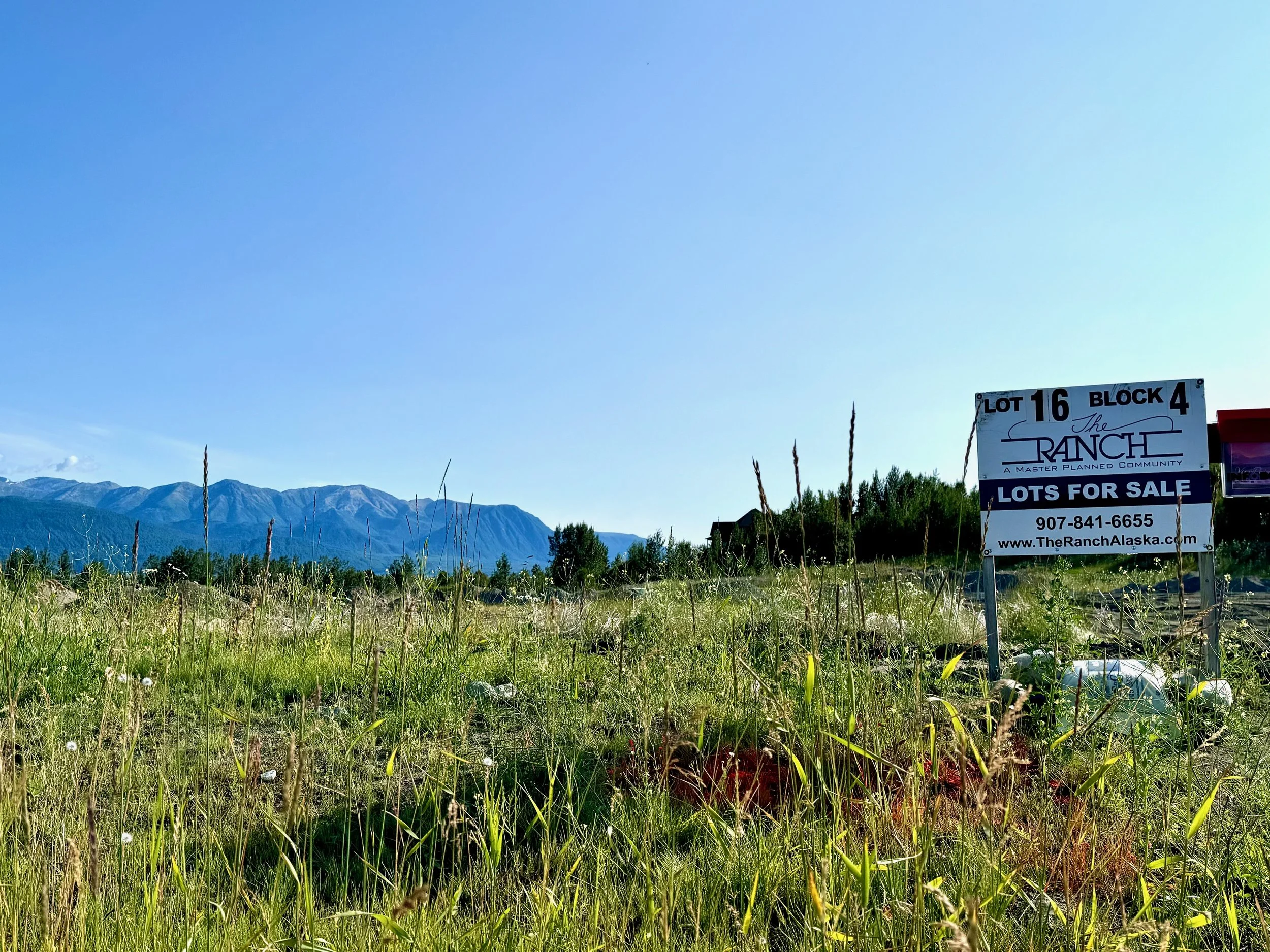 A grassy field with wildflowers and tall grass, a sale sign for lots in a master planned community, mountains in the background under a clear blue sky.