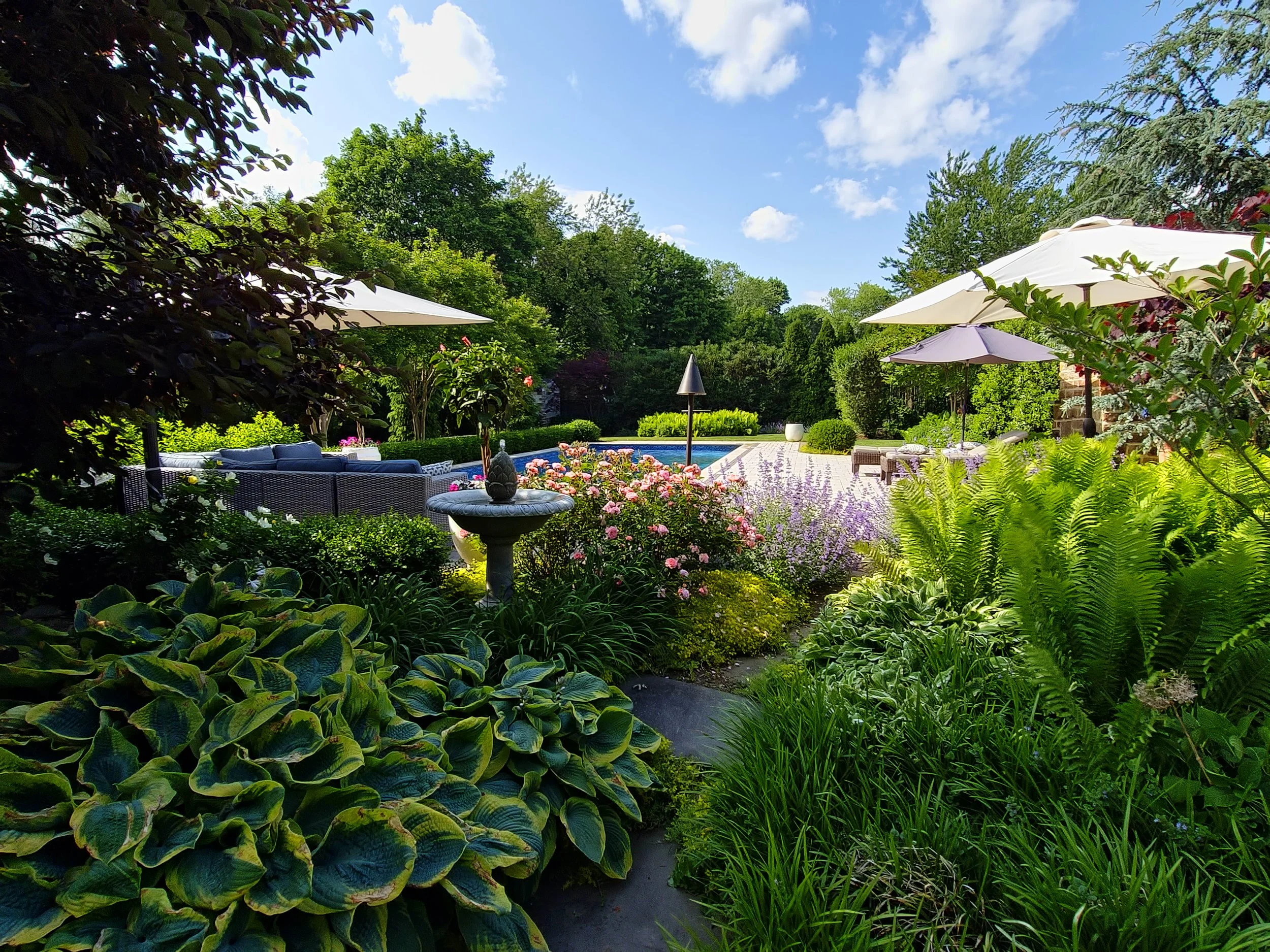 Backyard landscape design Long Island.jpg