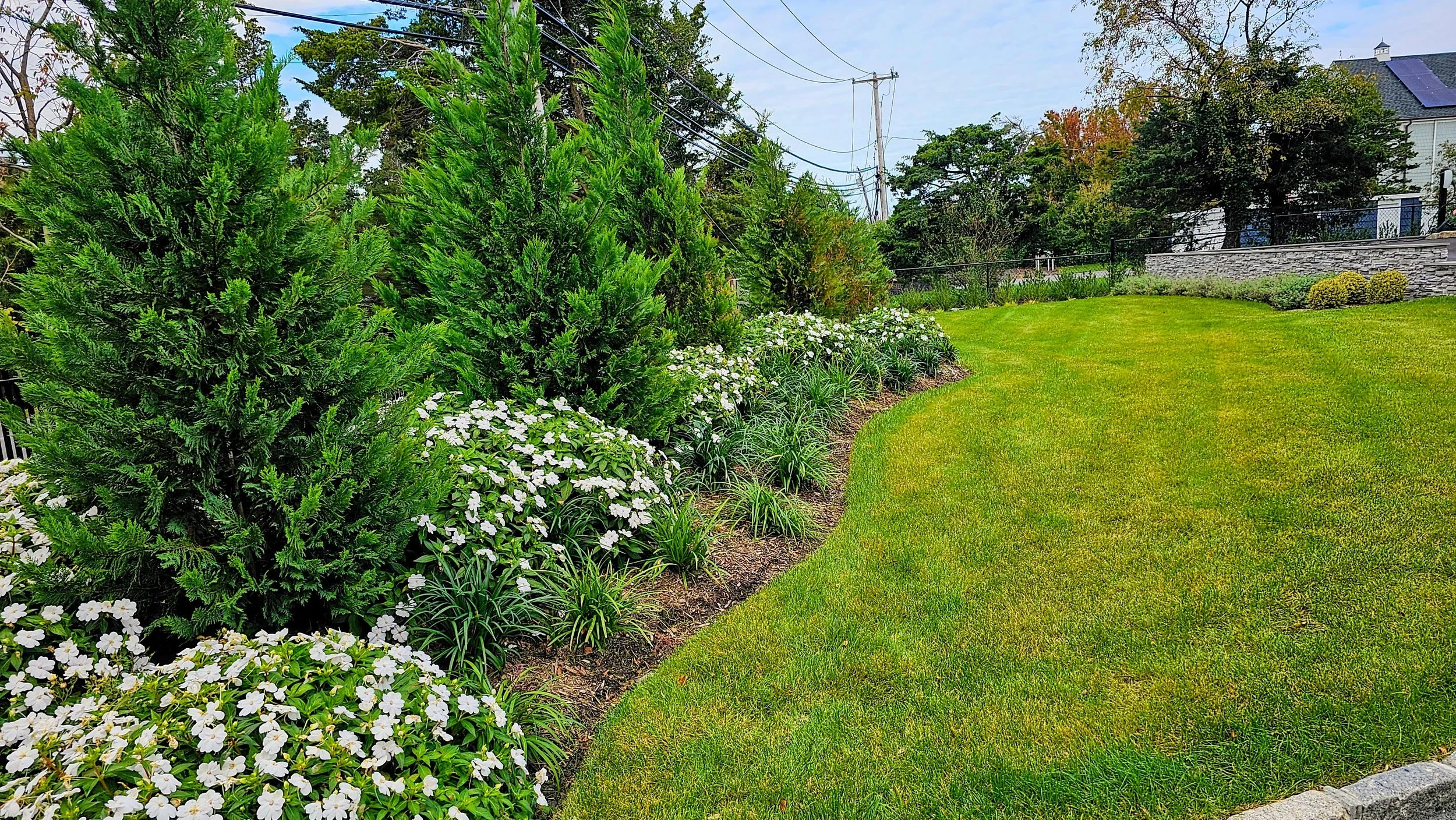 Privacy plantings long island.jpg