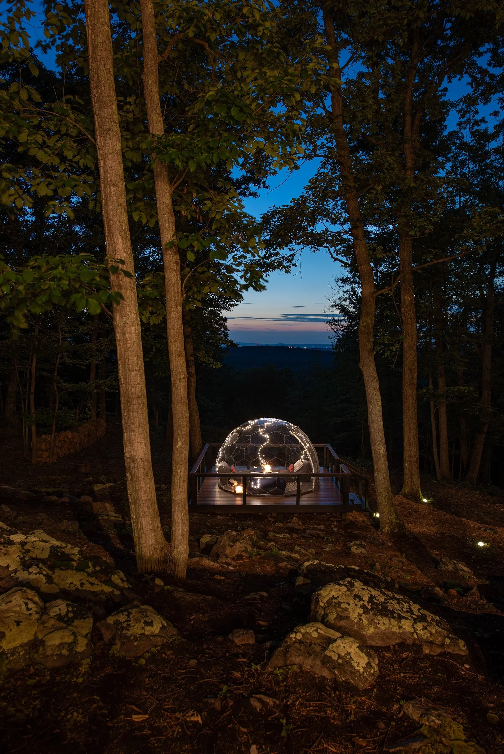 roots-and-realms-retreats-short-term-rentals-emberwood-wooded-forest-mountain-cabin45.webp