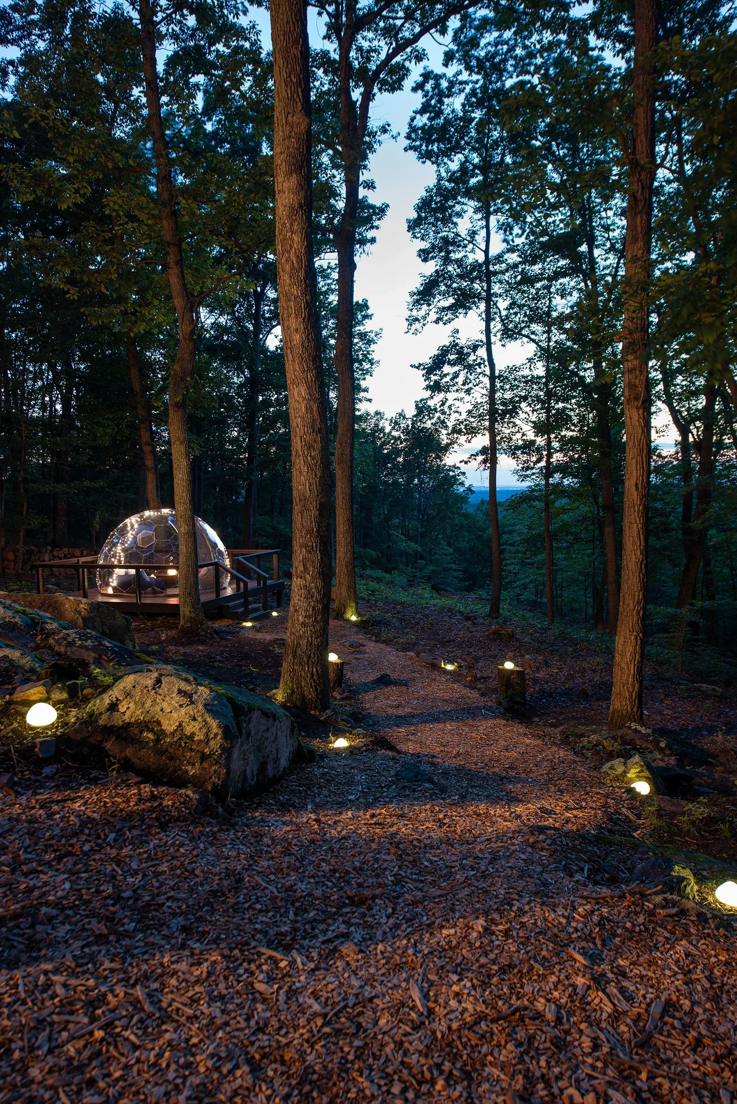 roots-and-realms-retreats-short-term-rentals-emberwood-wooded-forest-mountain-cabin43.webp