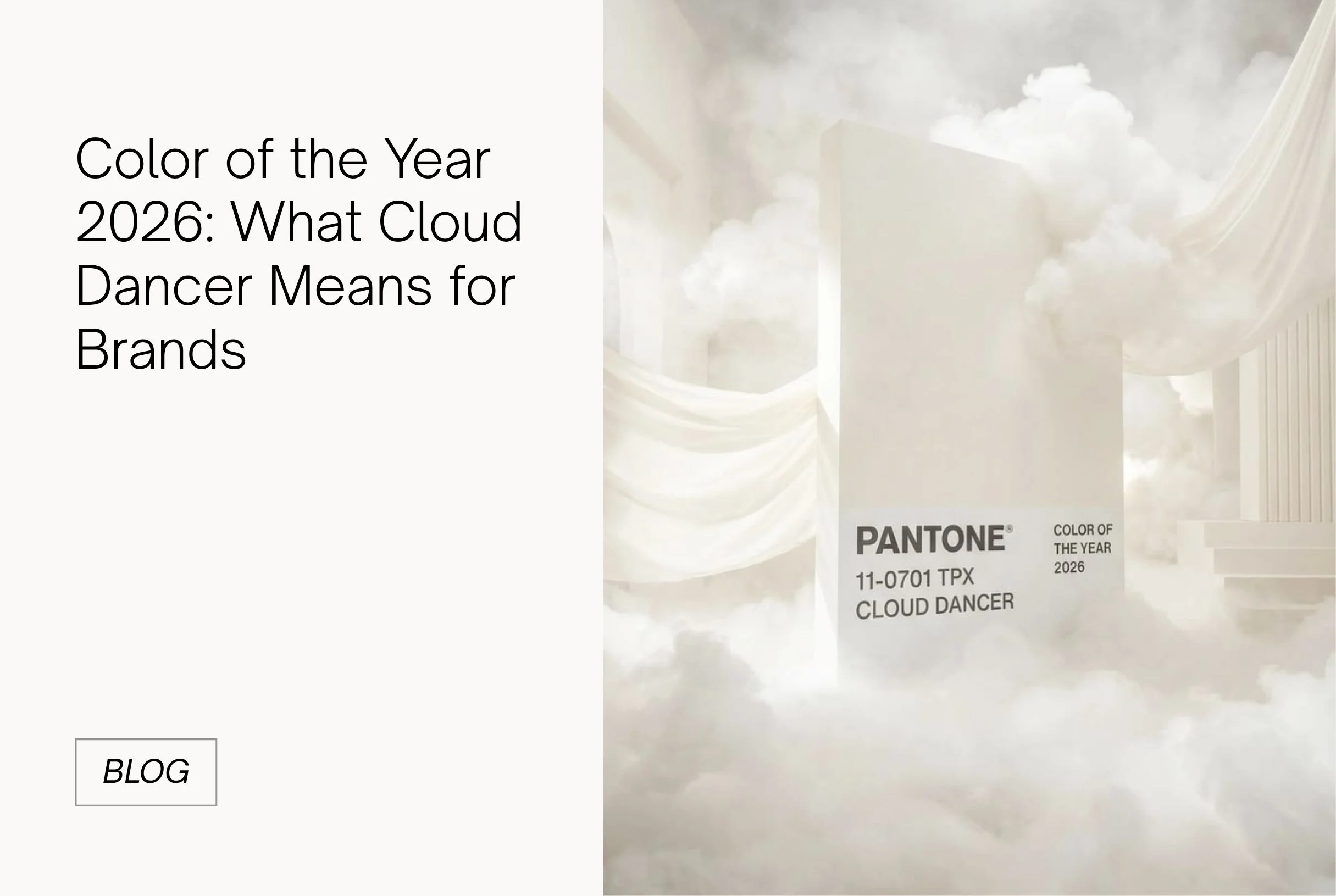 Cloud Dancer: el color del año Pantone 2026 y su impacto en el visual branding