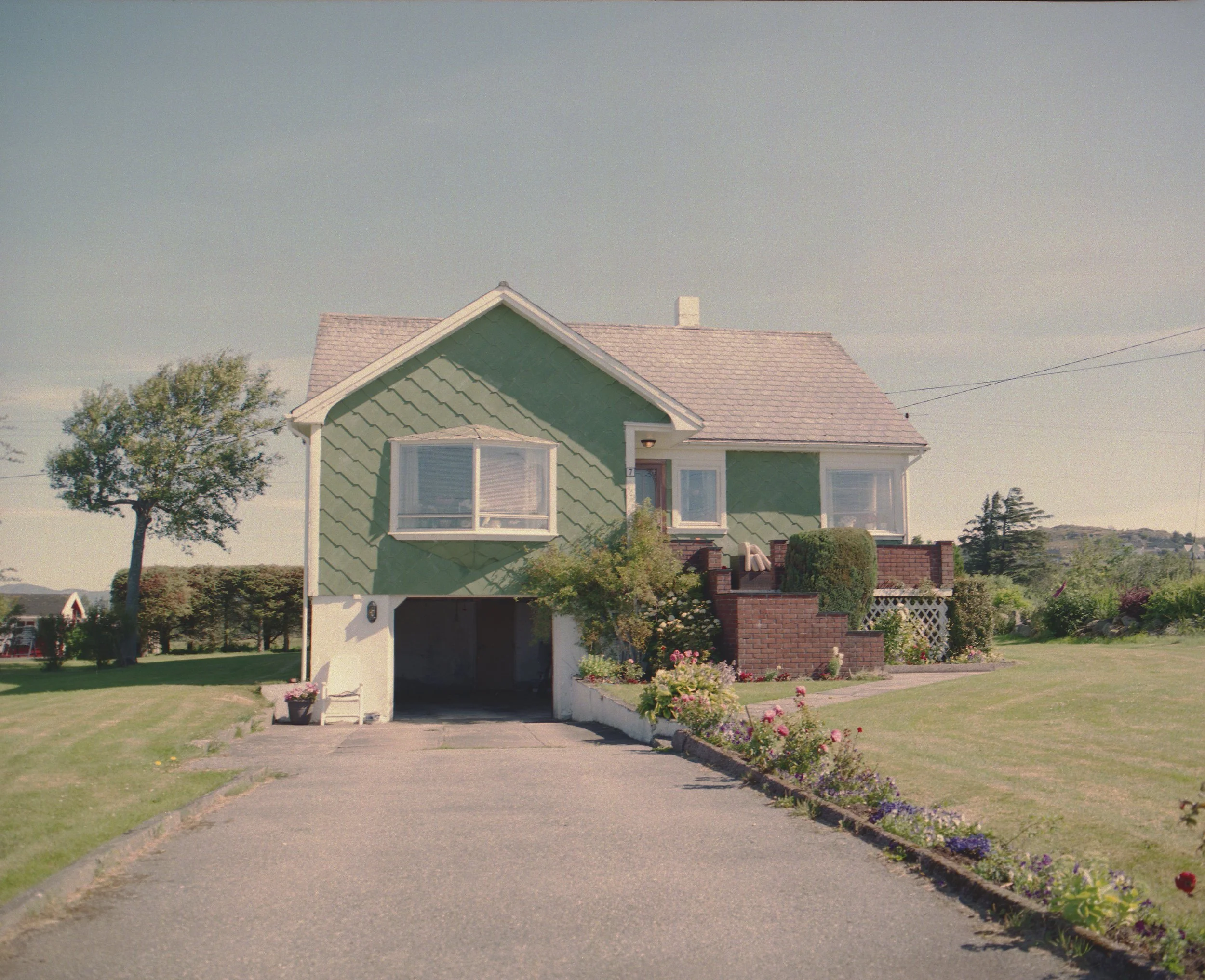 Green, green grass at home